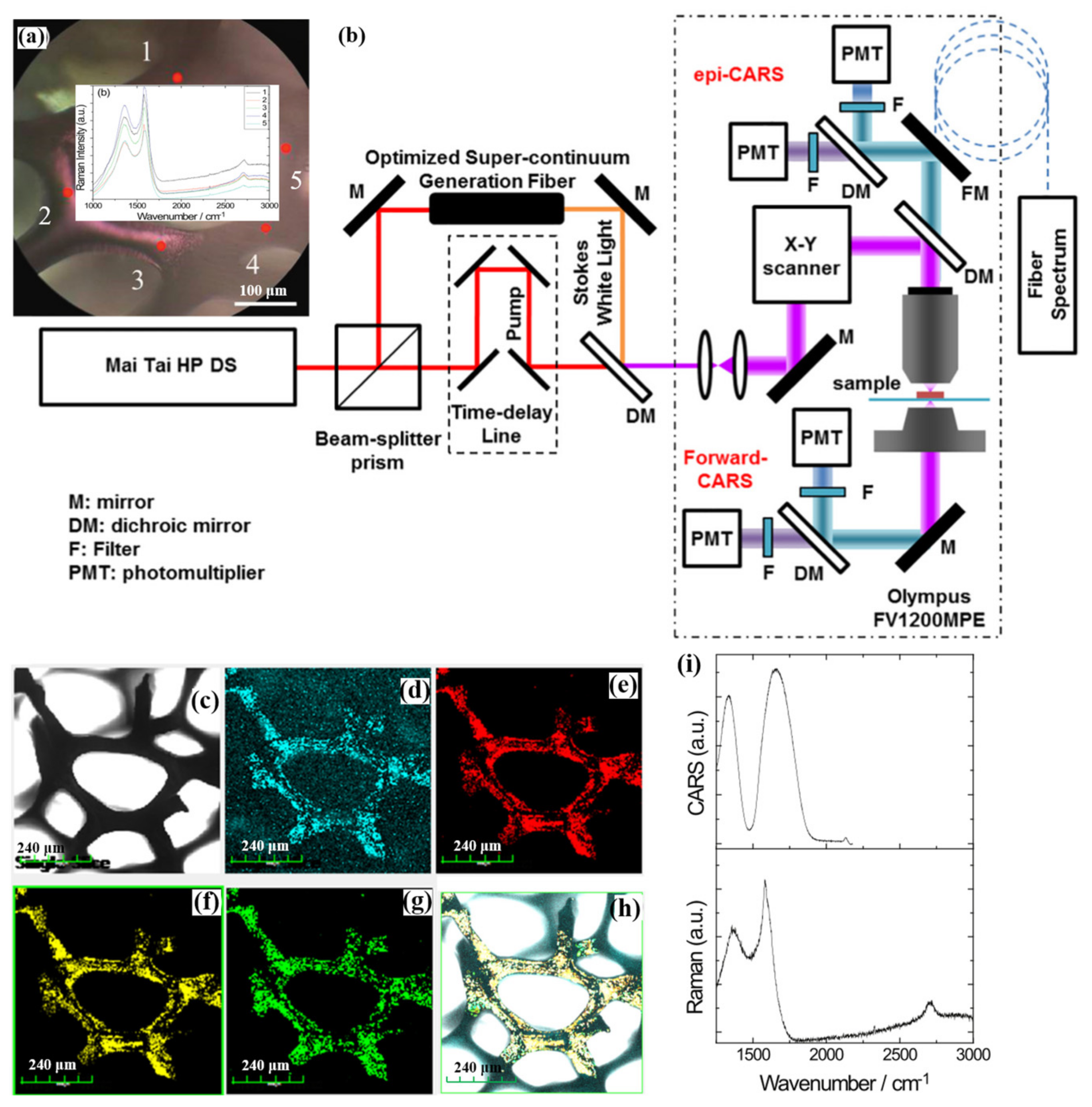 Nanomaterials 12 01273 g009