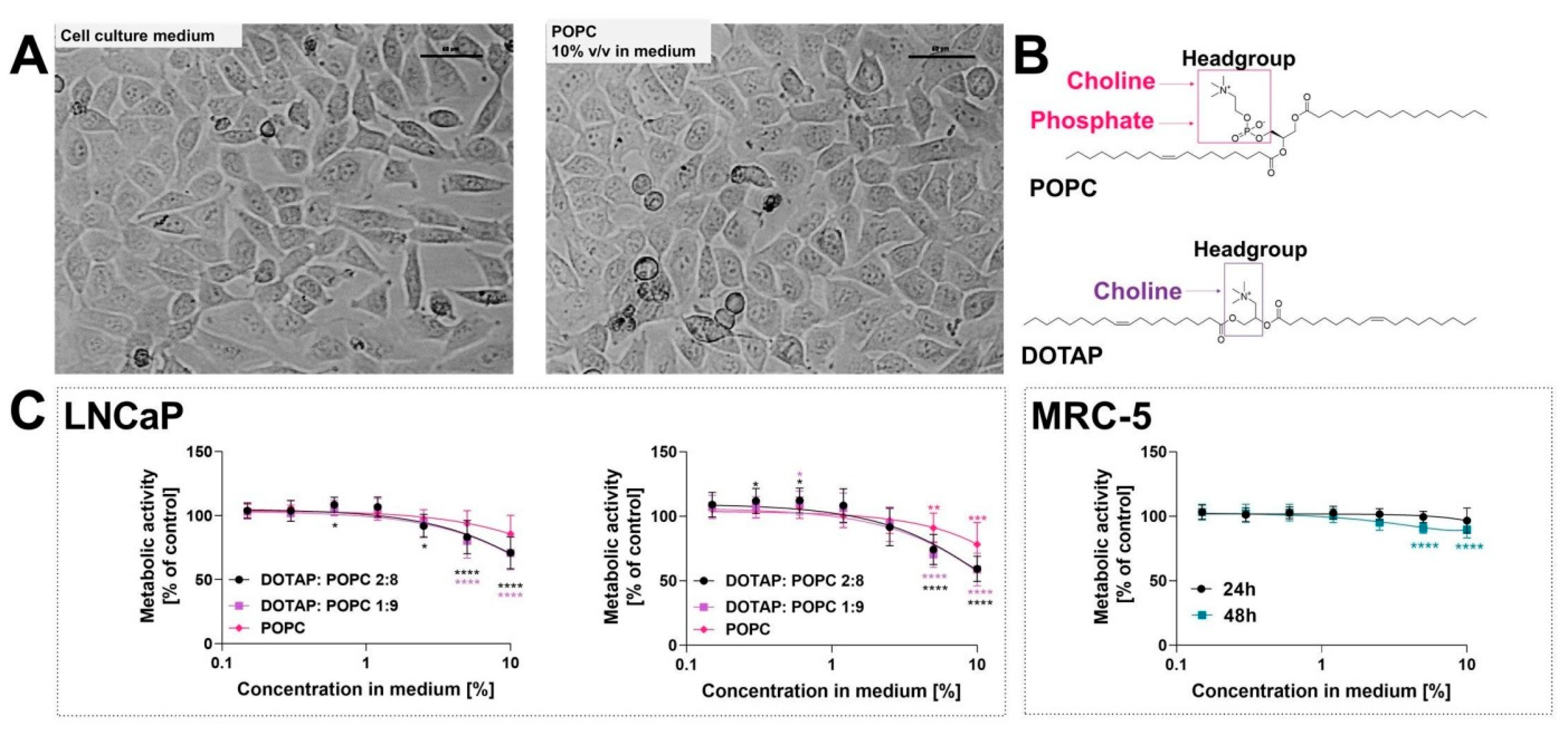 Nanomaterials 12 01274 g006 550