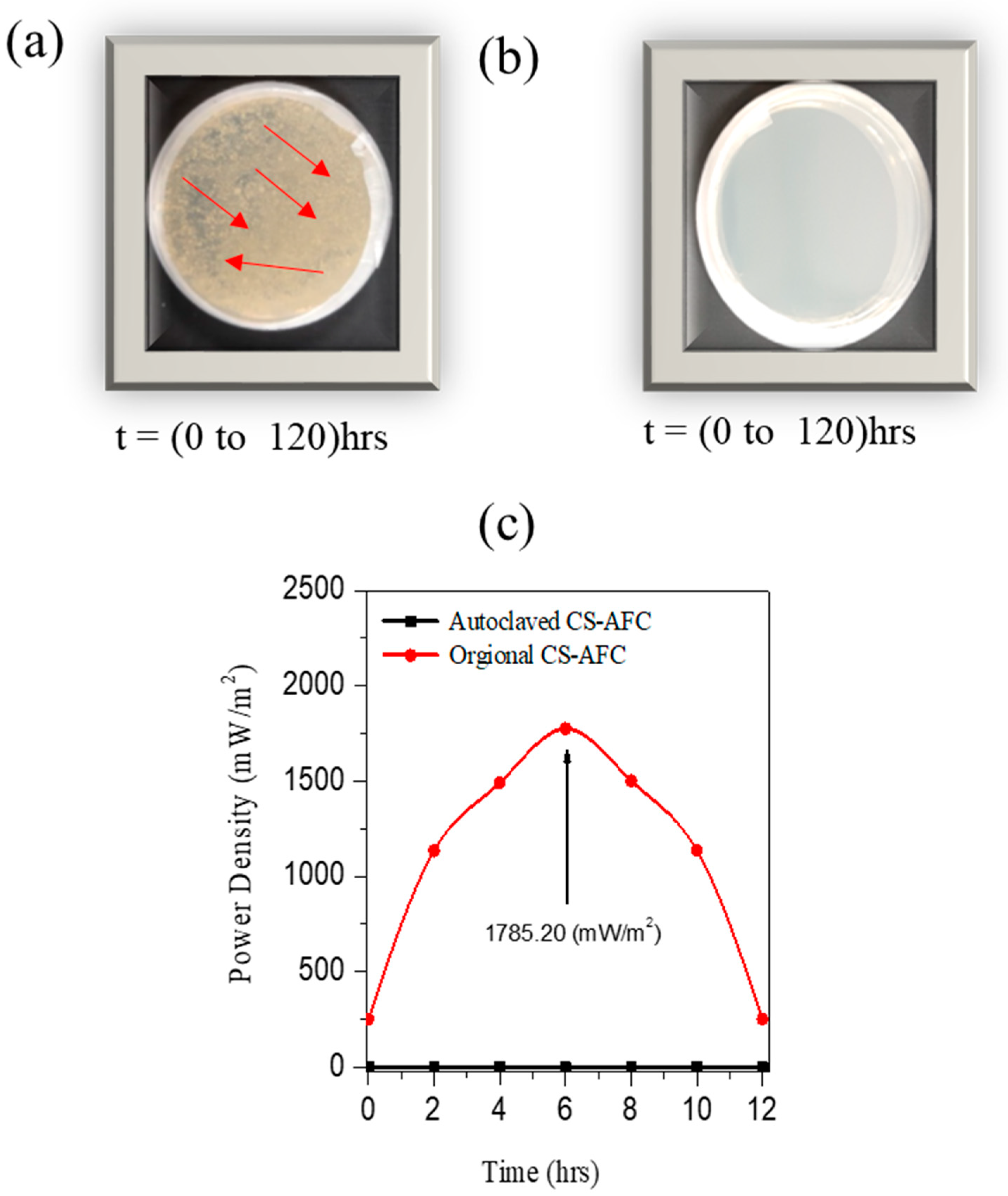 Nanomaterials 12 01281 g006 Nanomaterials 12 01281 g006