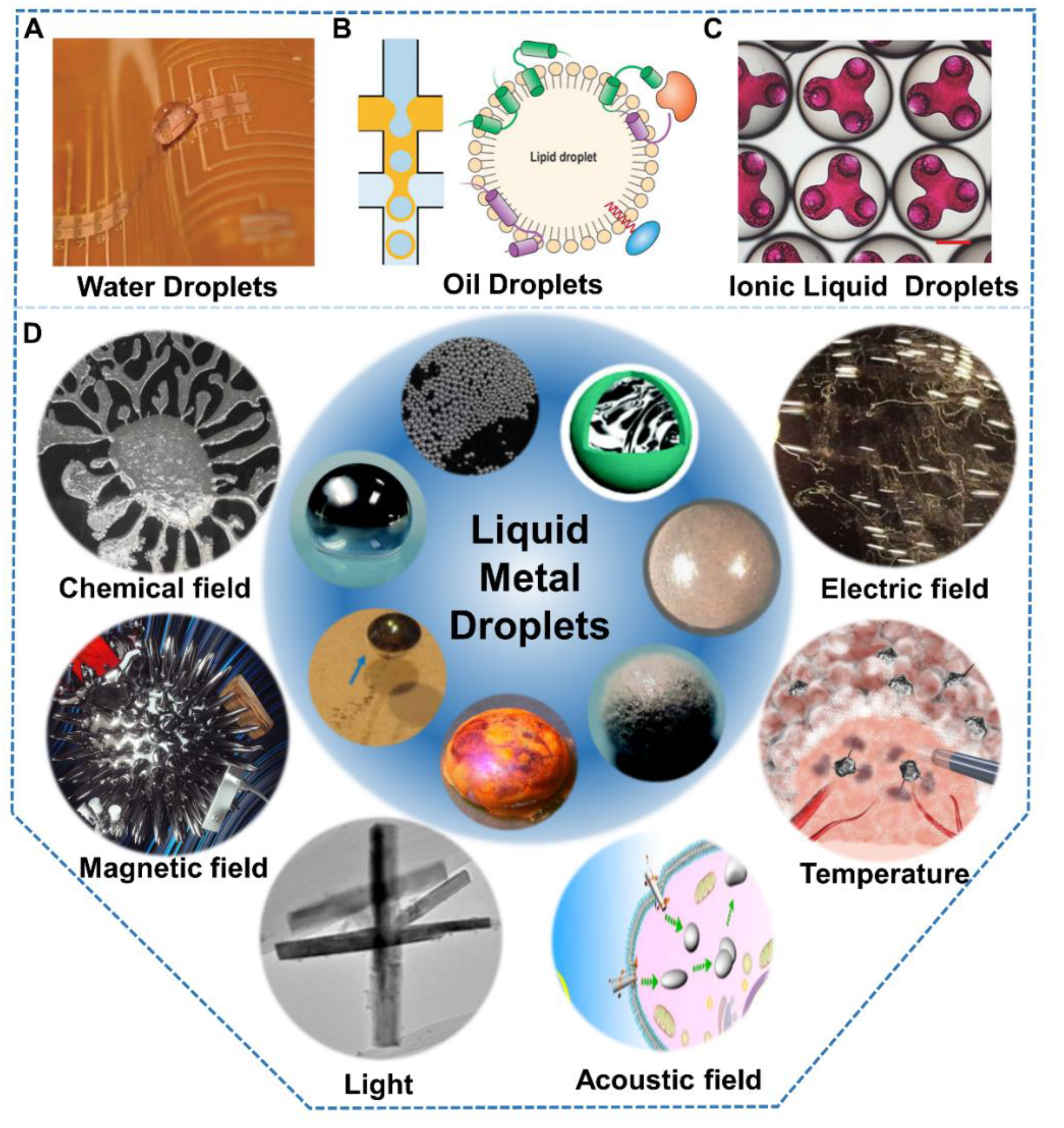 Nanomaterials 12 01289 g001