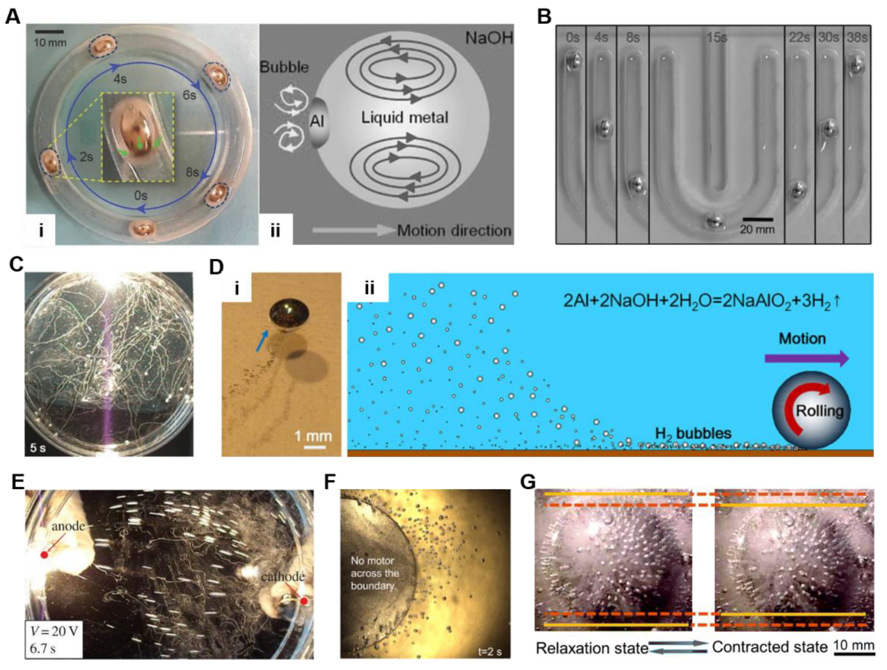 Nanomaterials 12 01289 g006