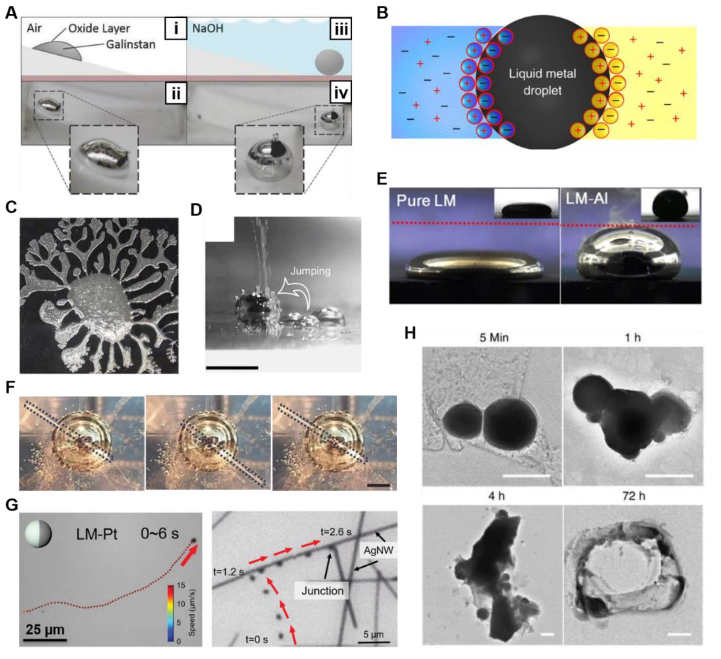 Nanomaterials 12 01289 g007