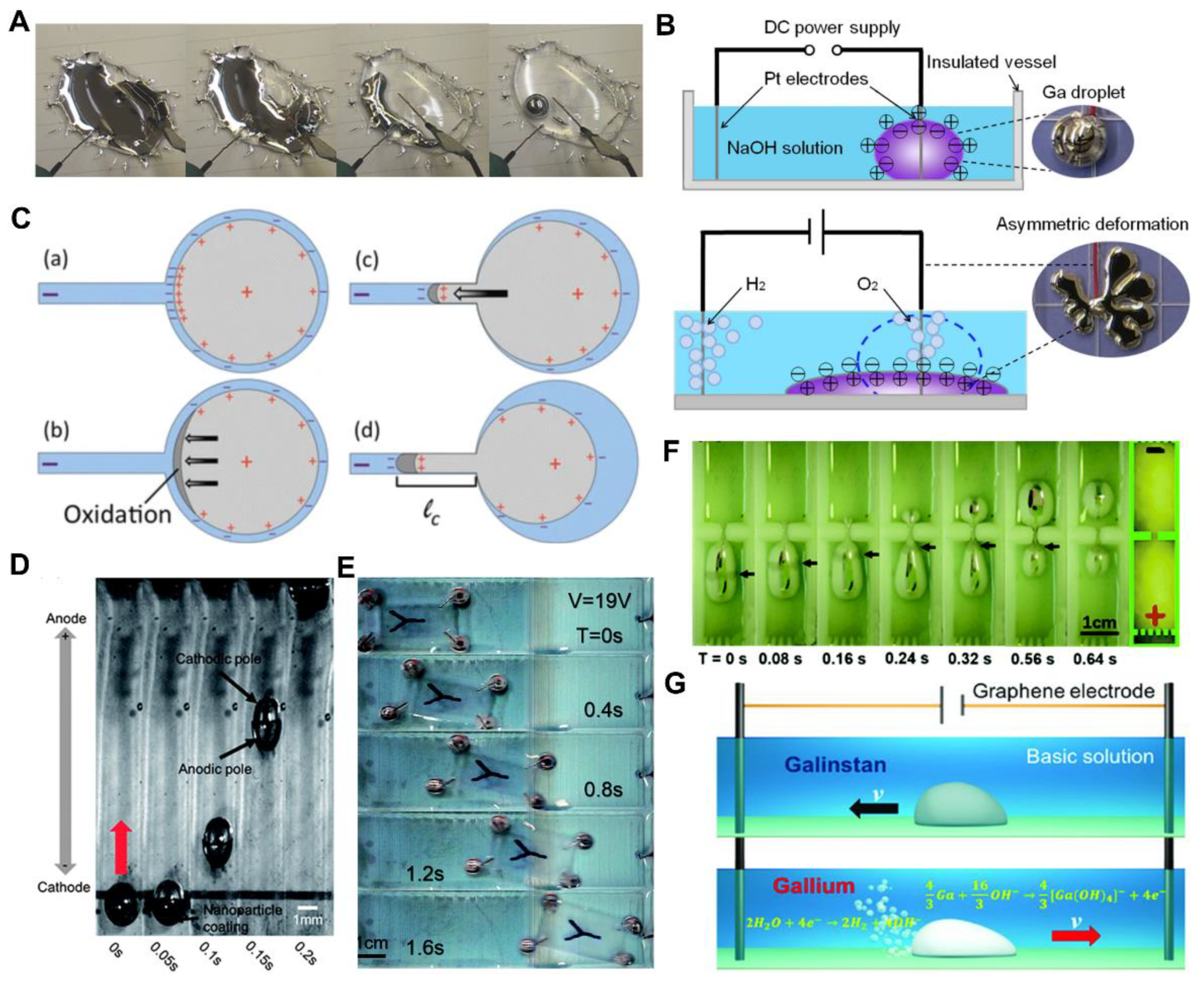 Nanomaterials 12 01289 g008