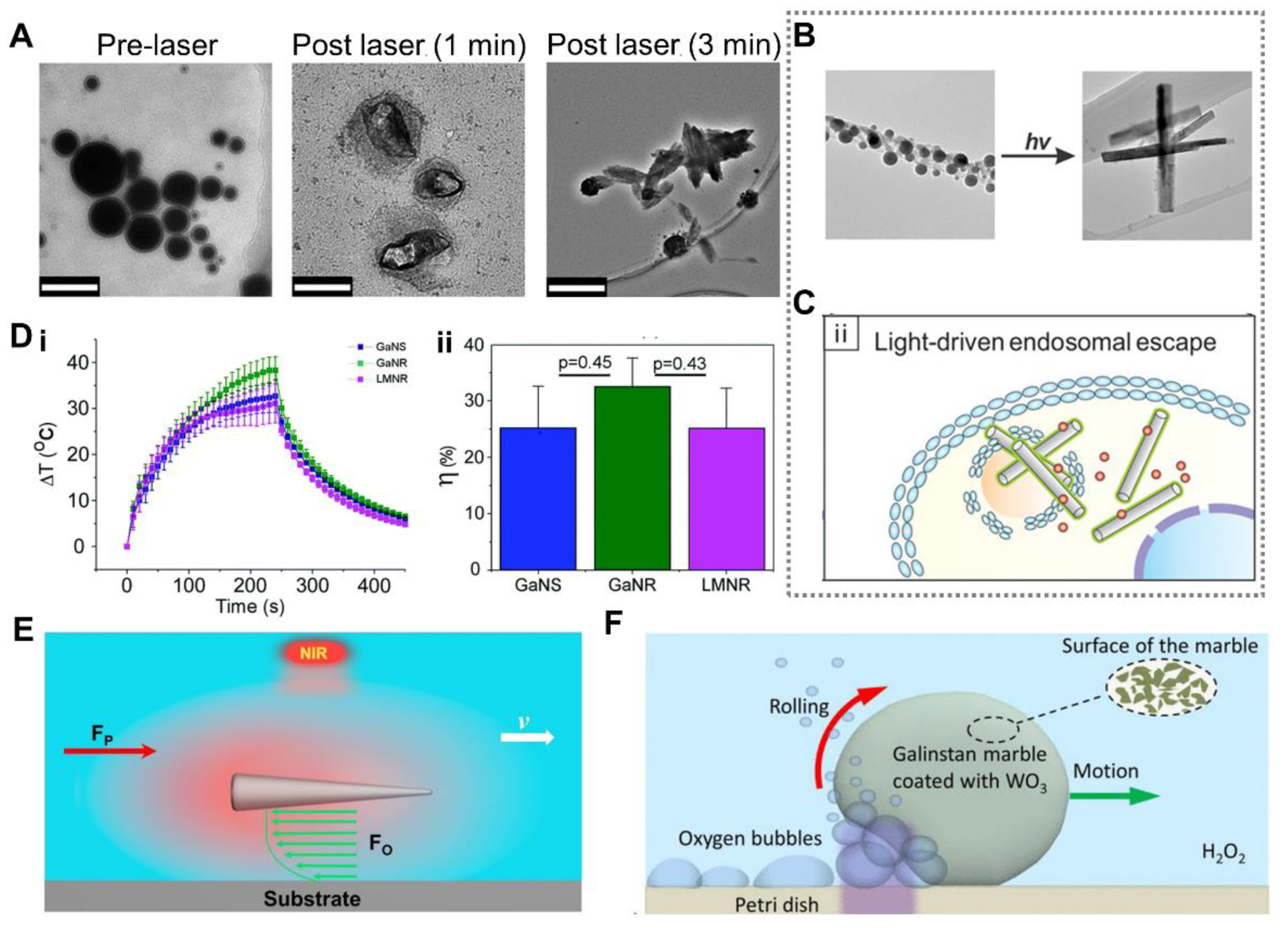 Nanomaterials 12 01289 g010