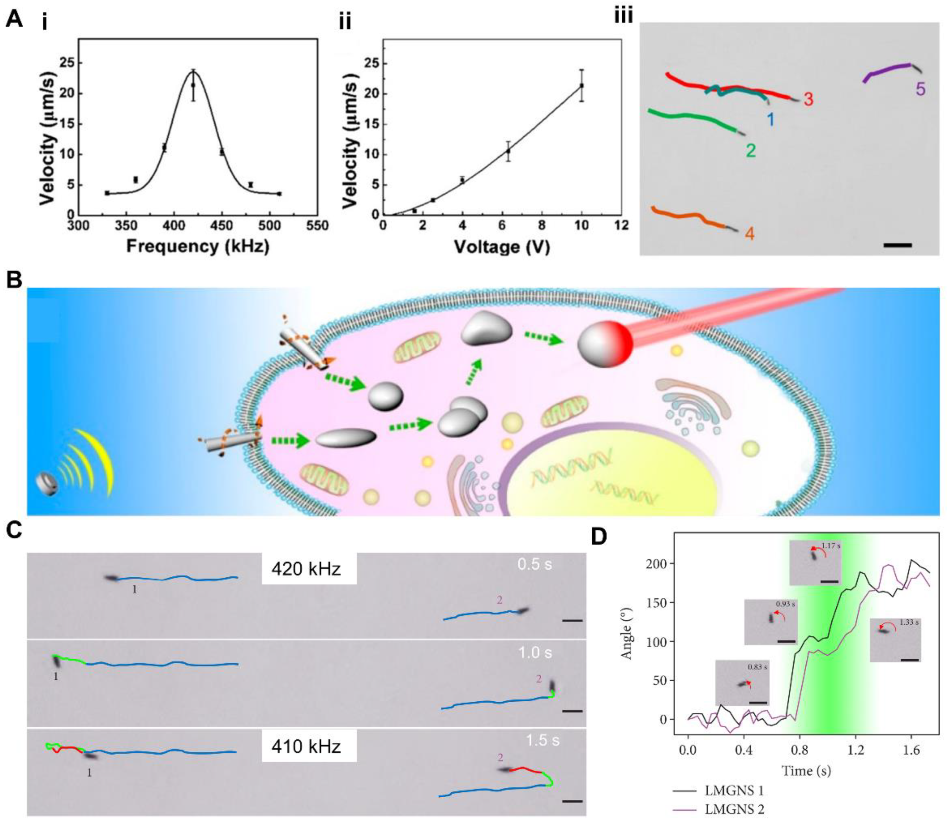 Nanomaterials 12 01289 g012