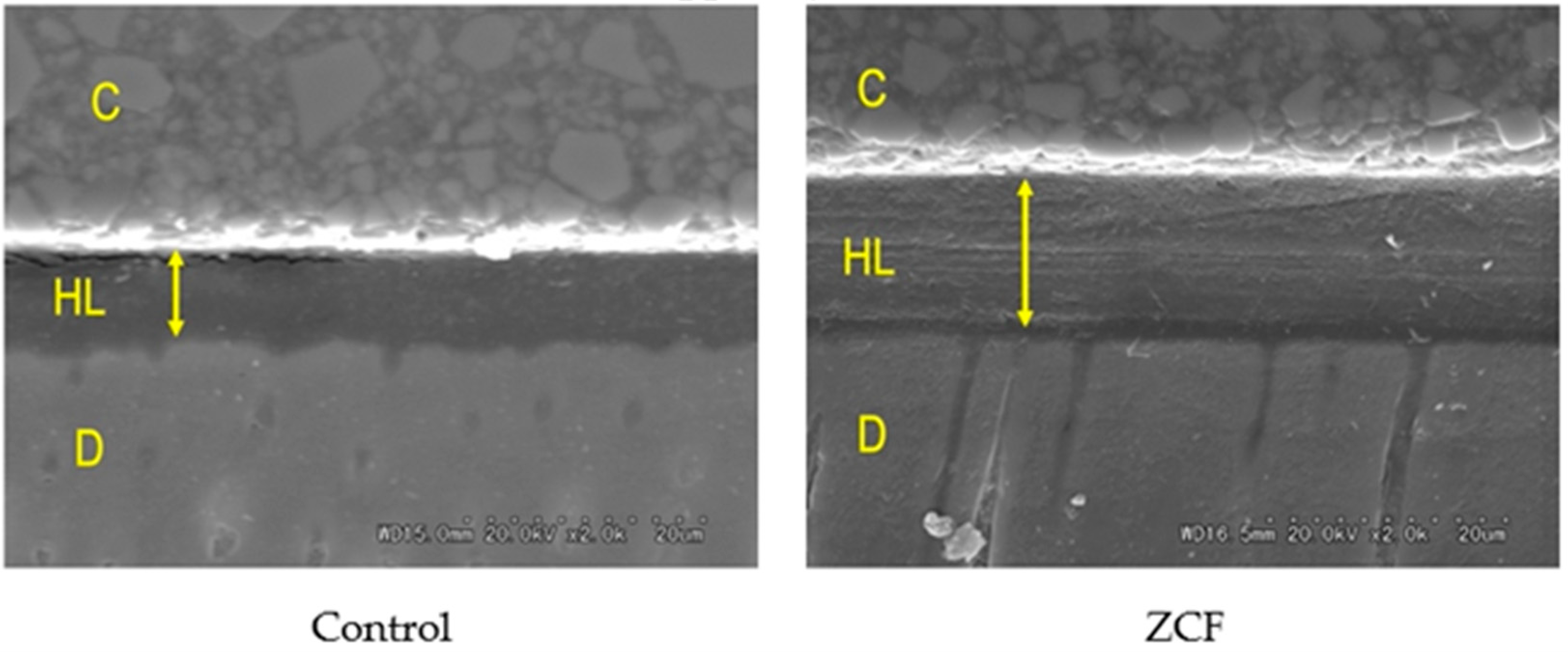 Nanomaterials 12 01291 g008