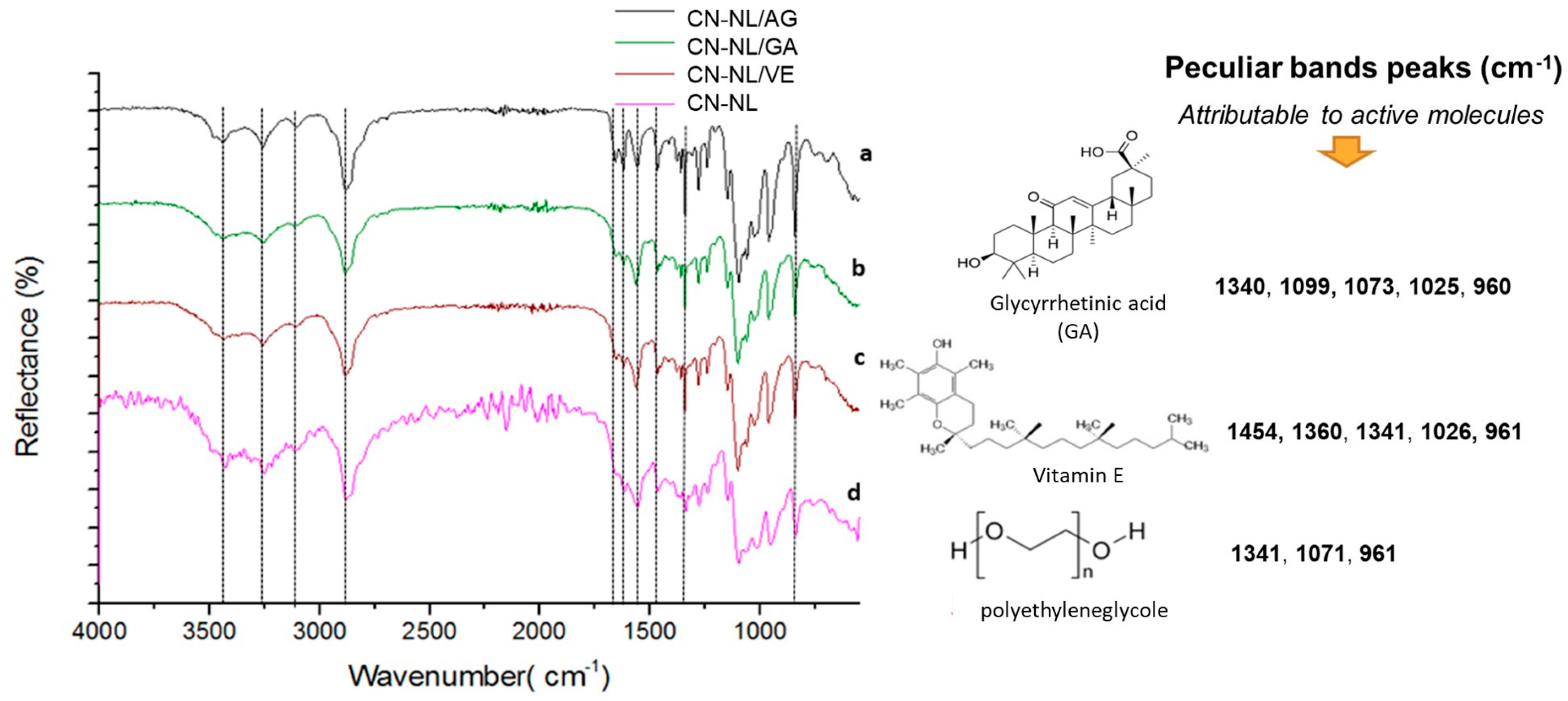 Nanomaterials 12 01295 g005