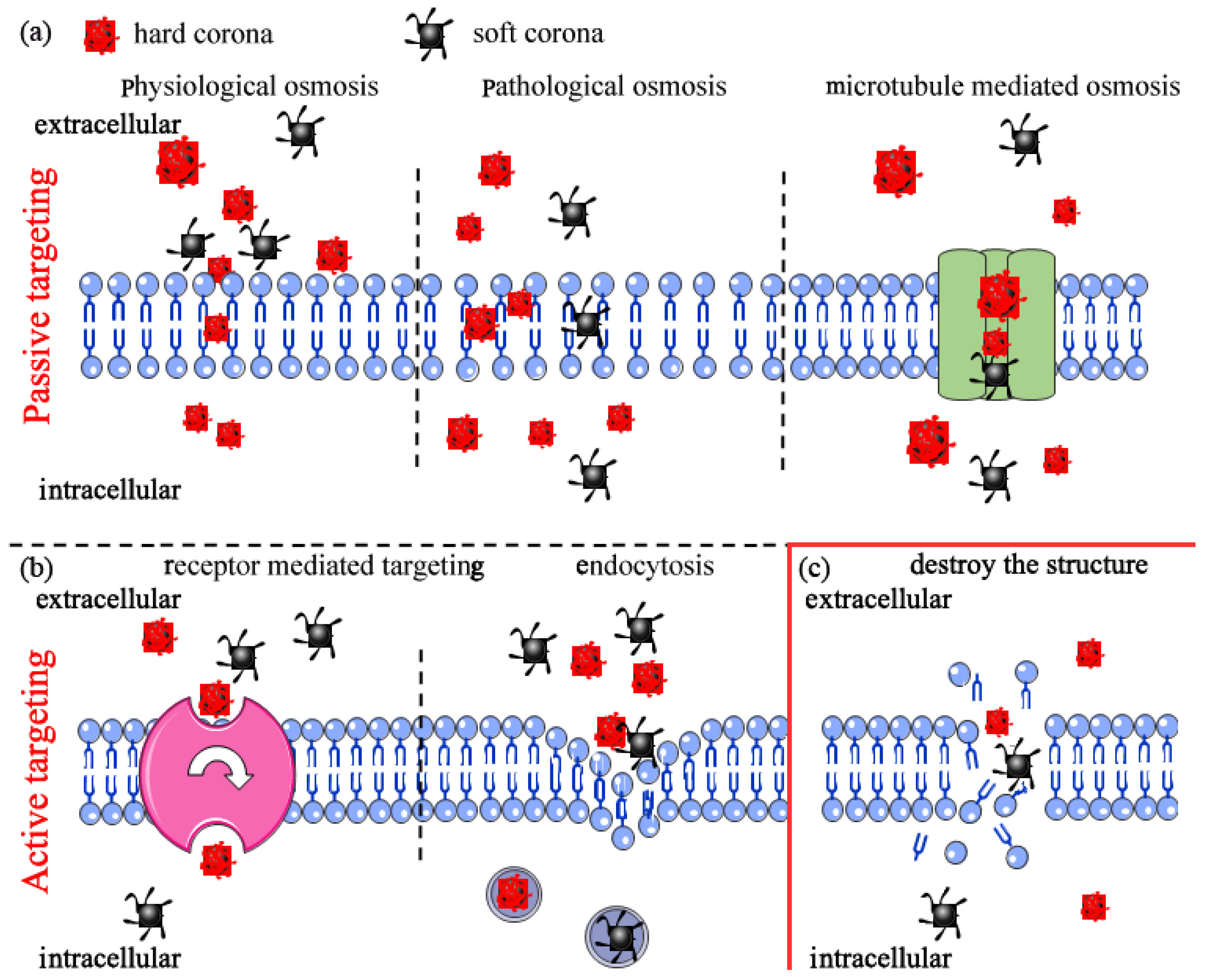 Nanomaterials 12 01298 g003 550