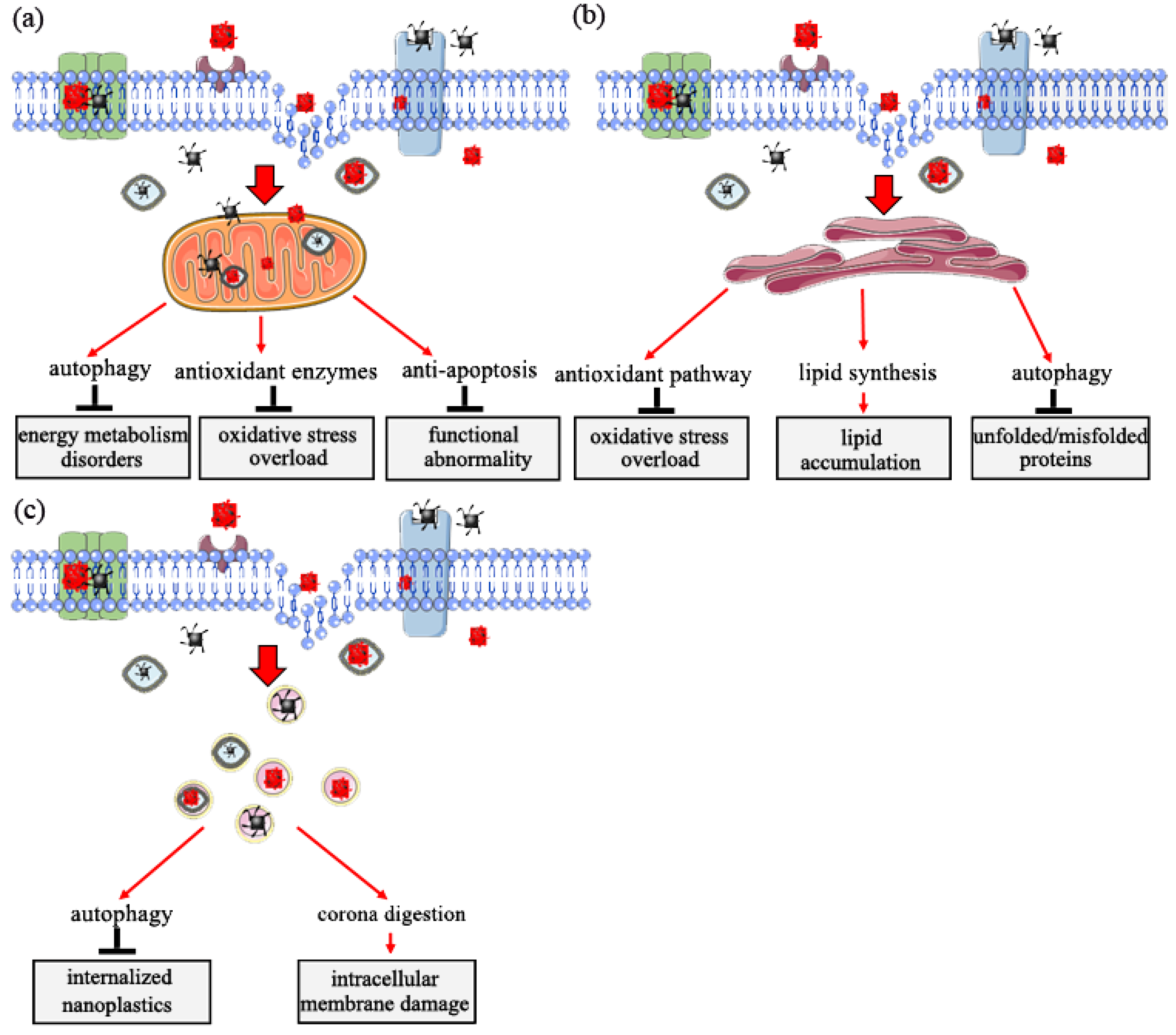 Nanomaterials 12 01298 g004 550