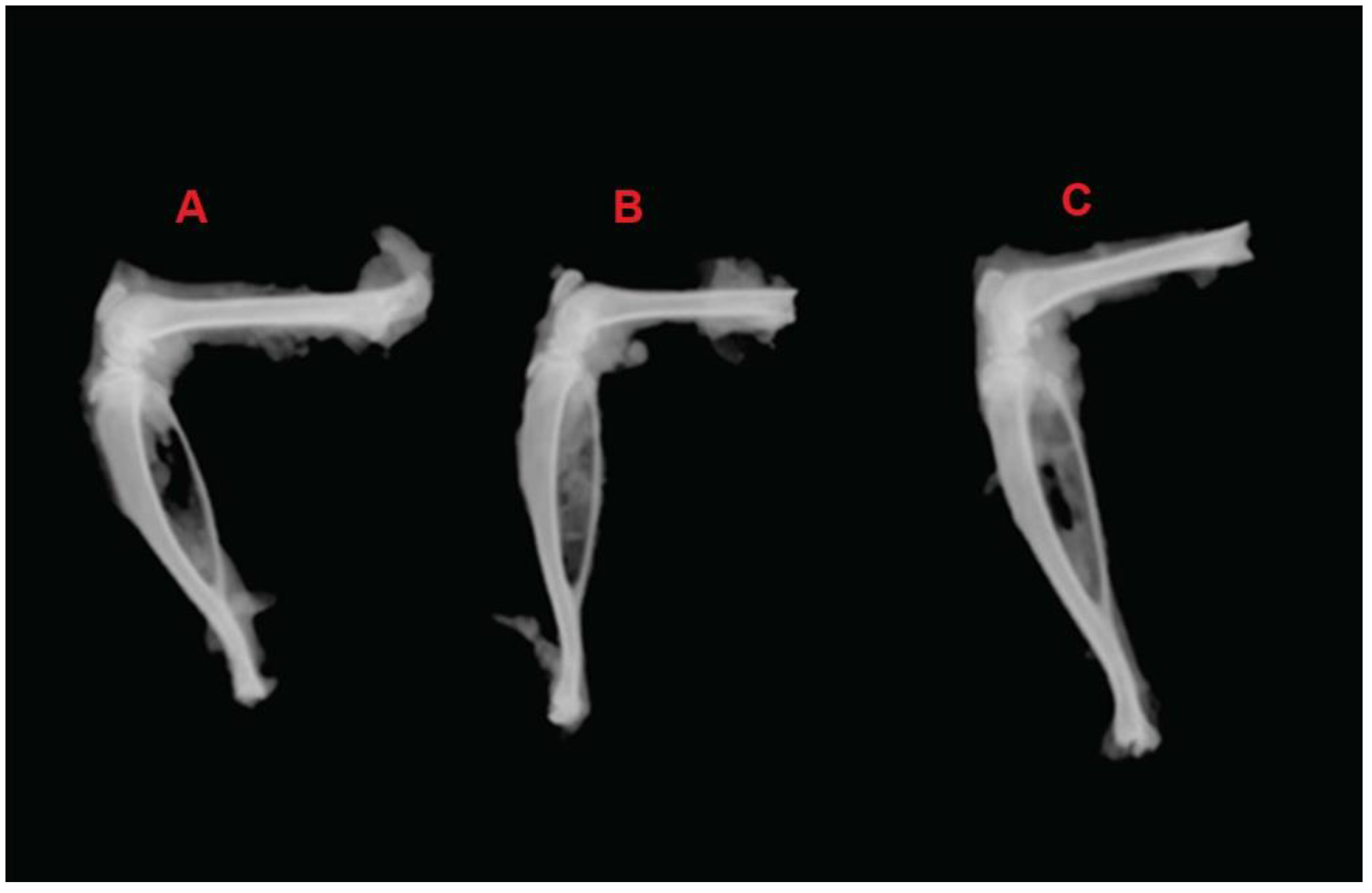 Nanomaterials 12 01299 g013