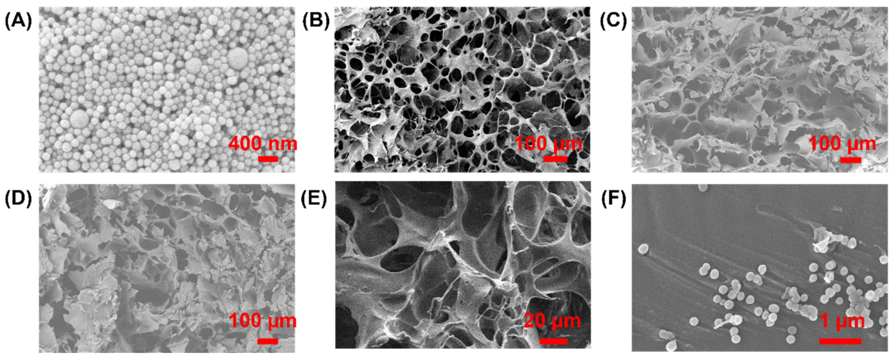 Nanomaterials 12 01304 g001 550