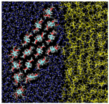 Nanomaterials 12 01321 i002