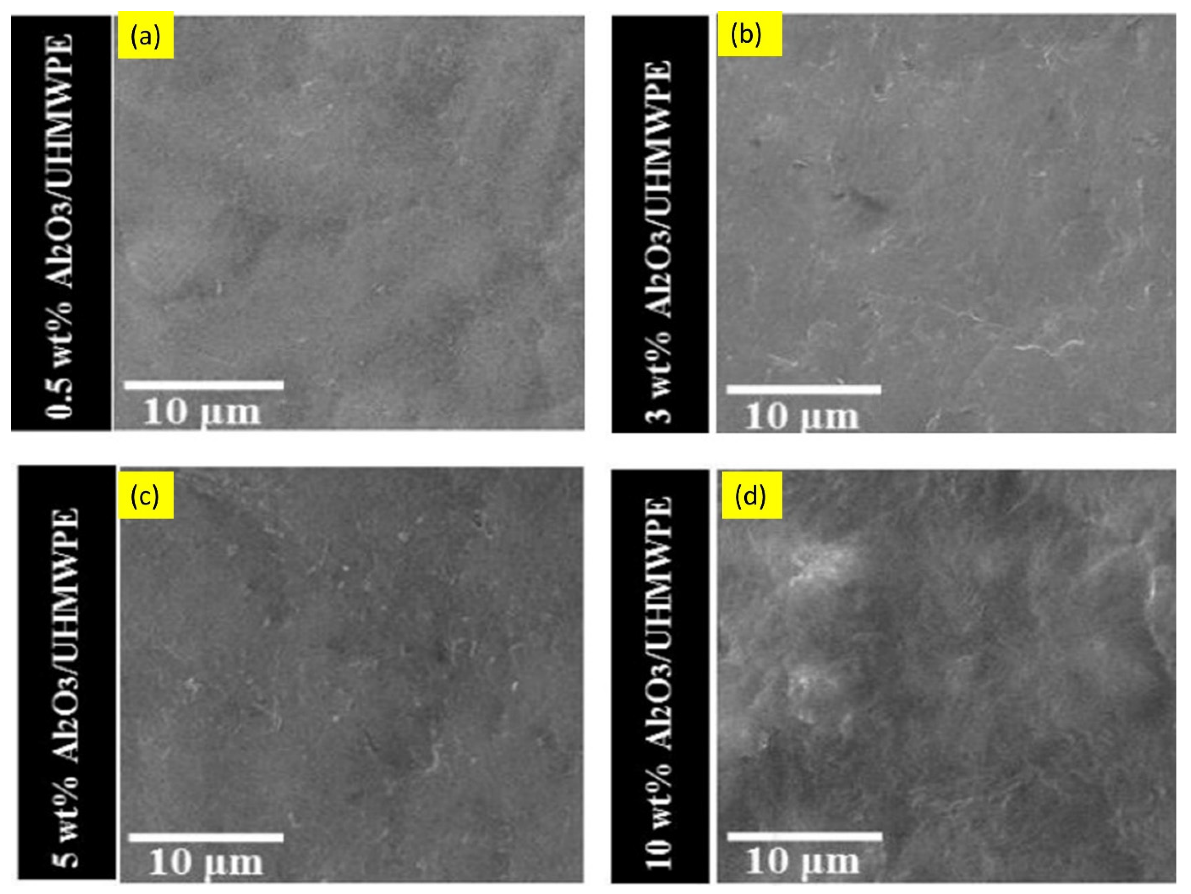 Nanomaterials 12 01323 g012