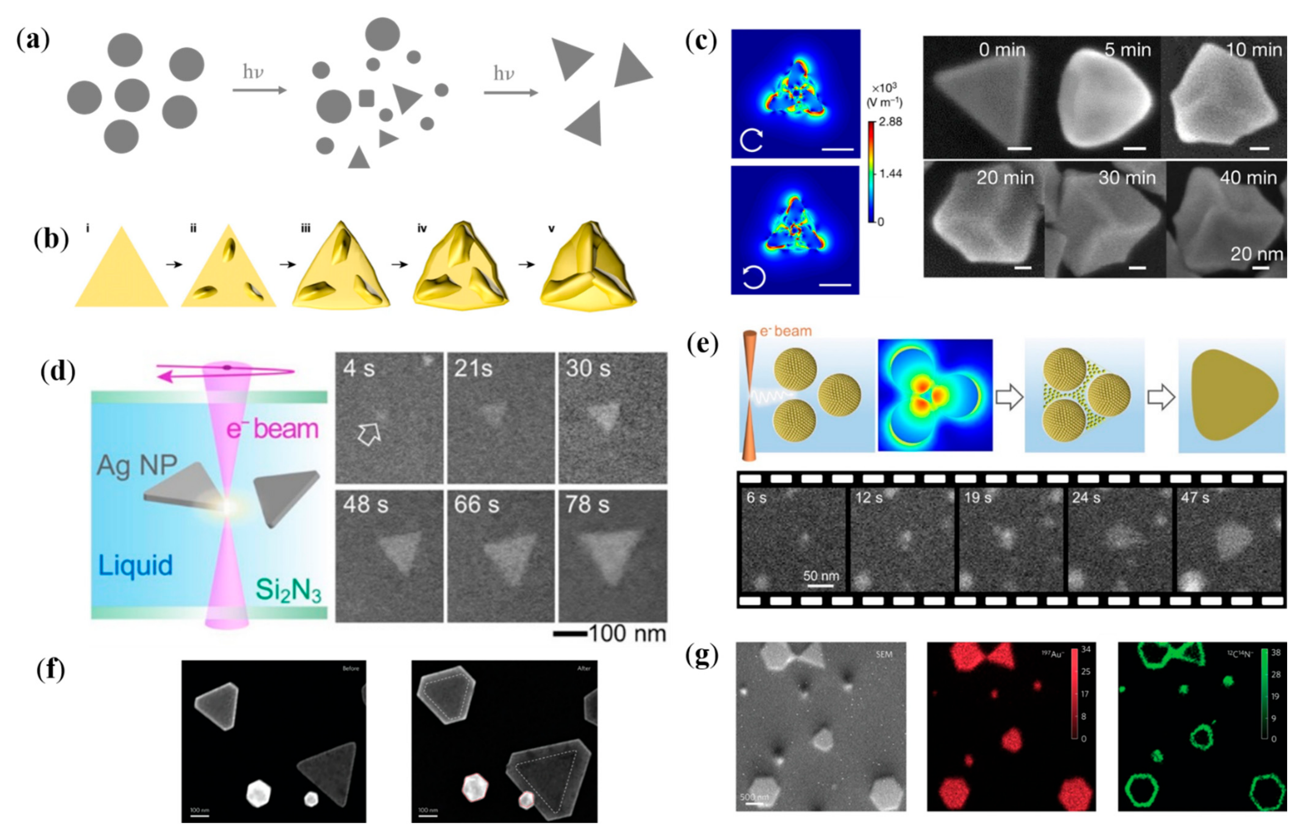 Nanomaterials 12 01329 g004