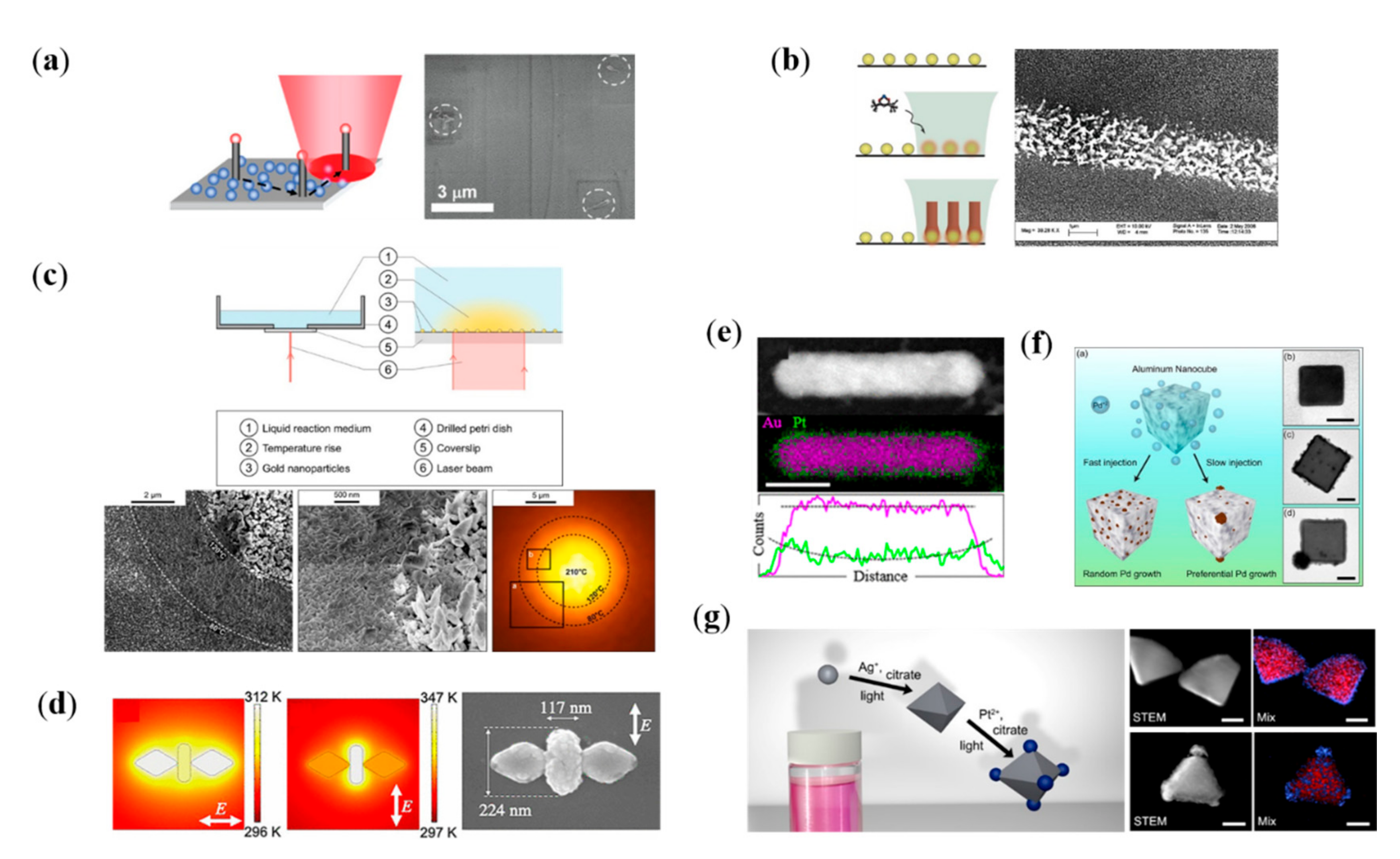 Nanomaterials 12 01329 g005