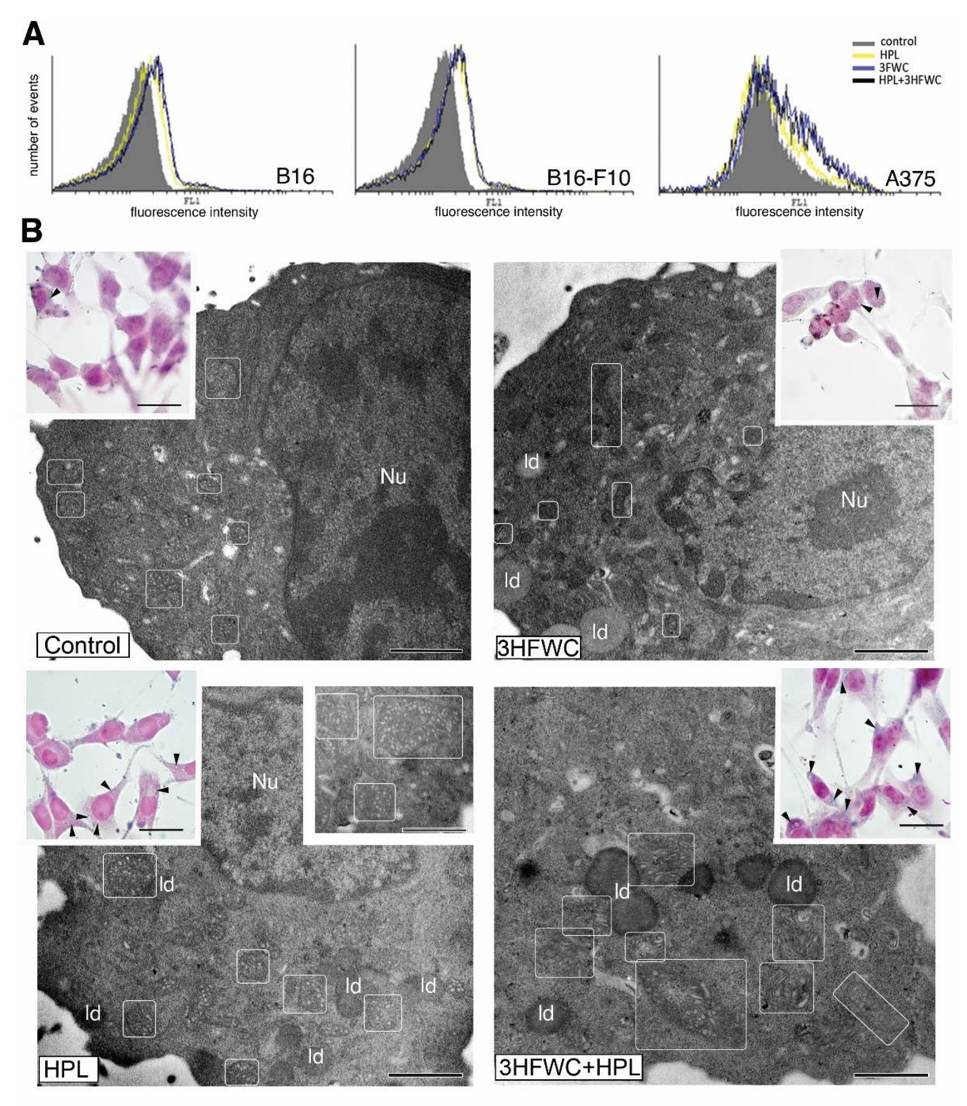 Nanomaterials 12 01331 g004 550