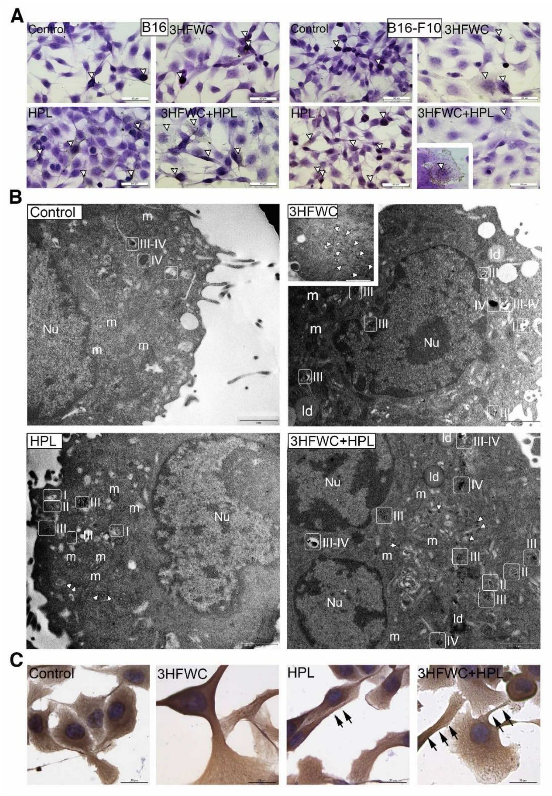 Nanomaterials 12 01331 g005 550