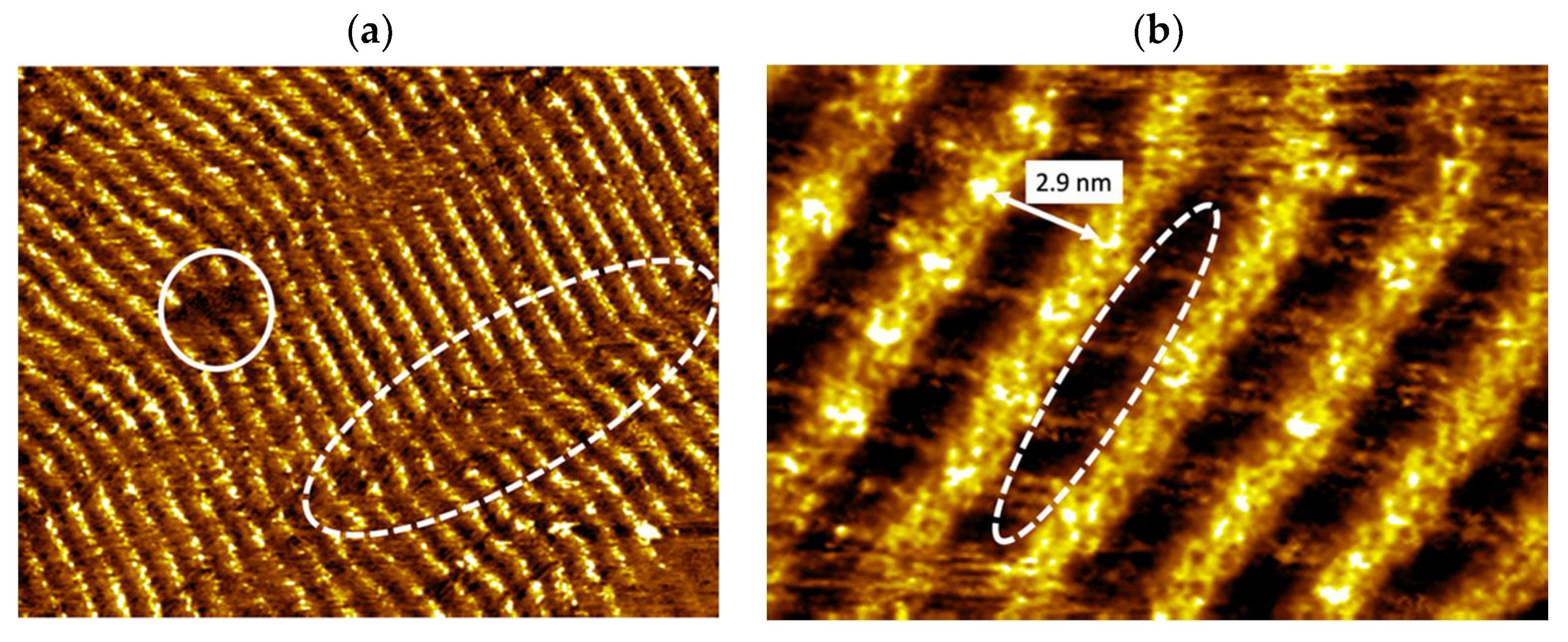 Nanomaterials 12 01334 g003