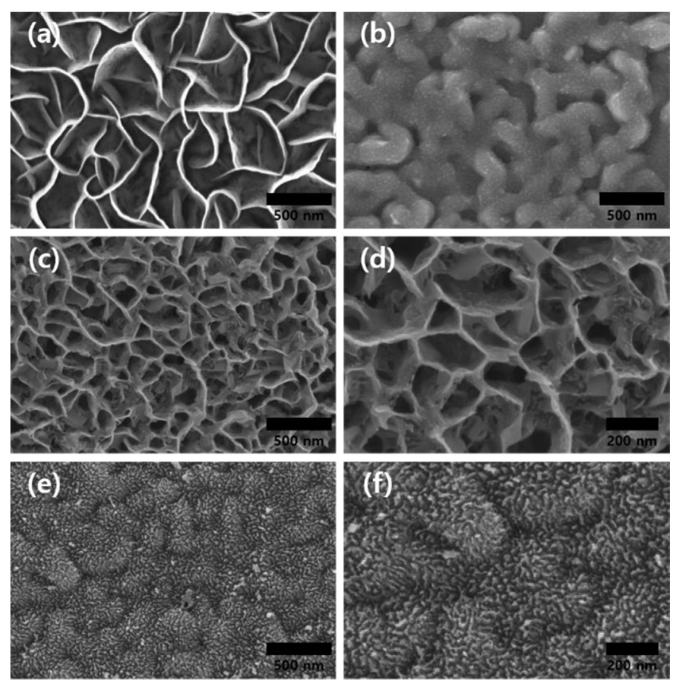オープニング 大放出セール Remote Plasma-Induced Synthesis of Self-Assembled MoS2 メンテナンス