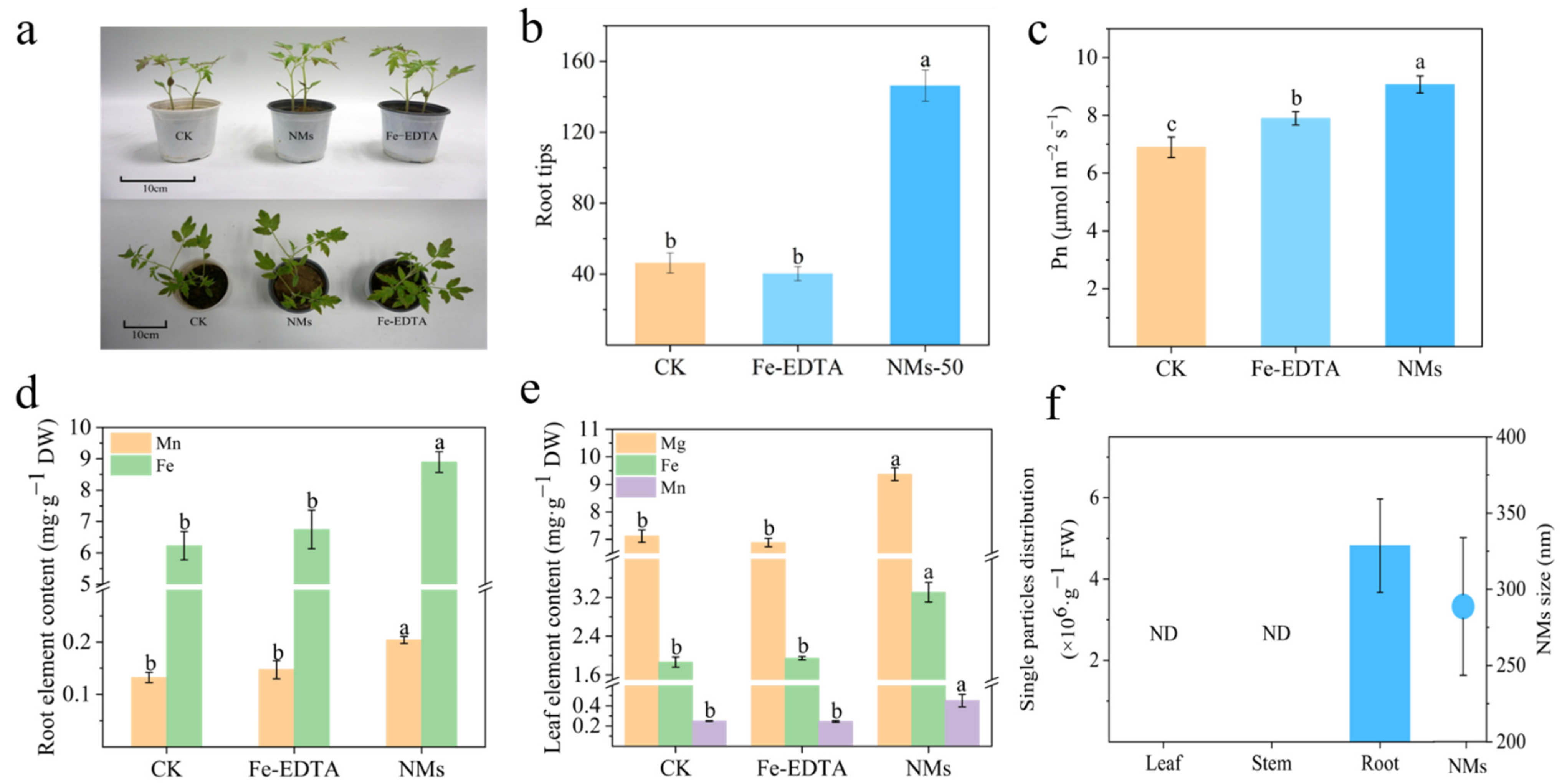 Nanomaterials 12 01341 g003 550
