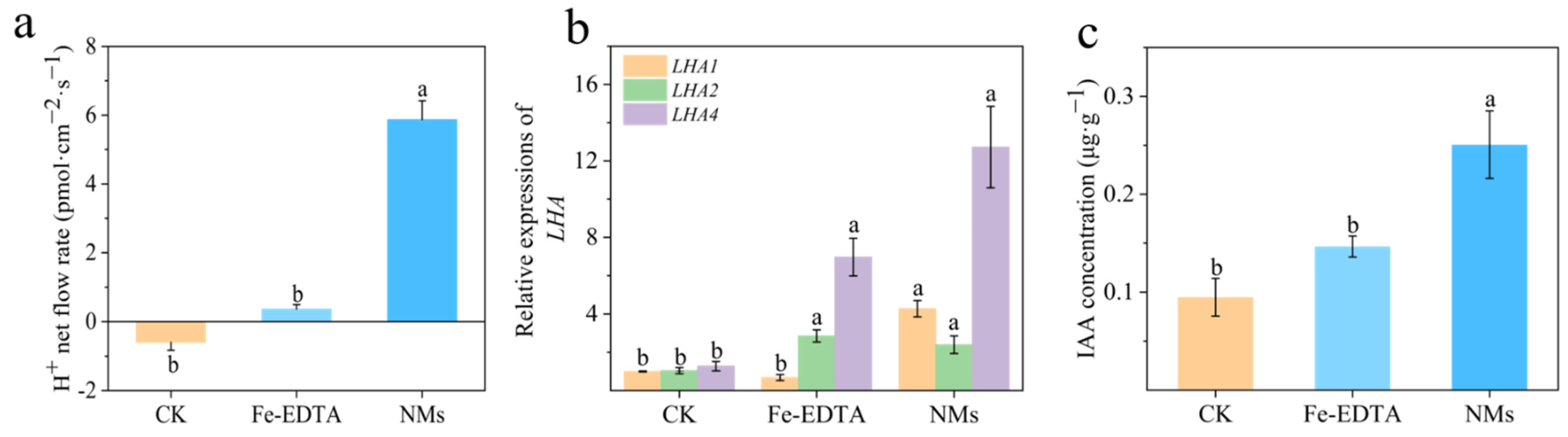 Nanomaterials 12 01341 g004 550