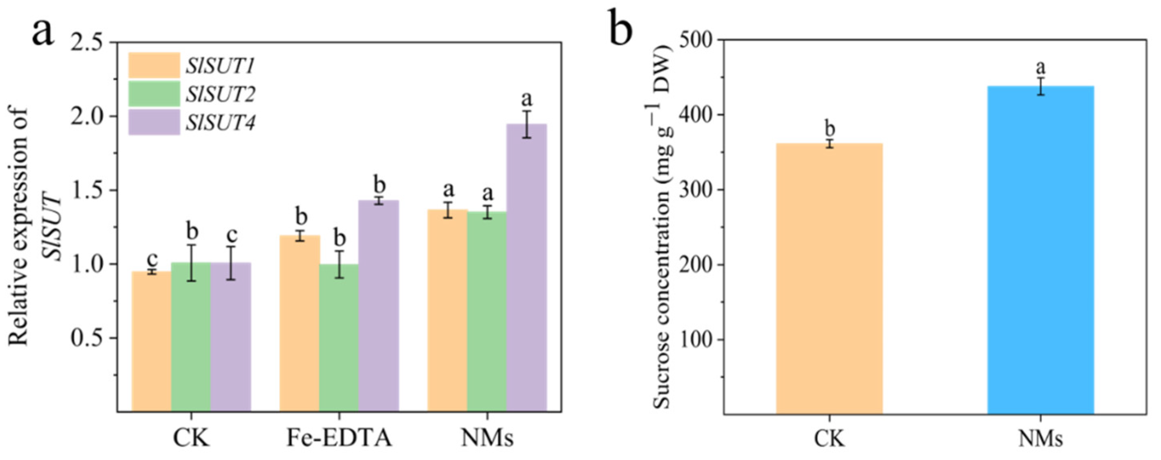 Nanomaterials 12 01341 g005 550