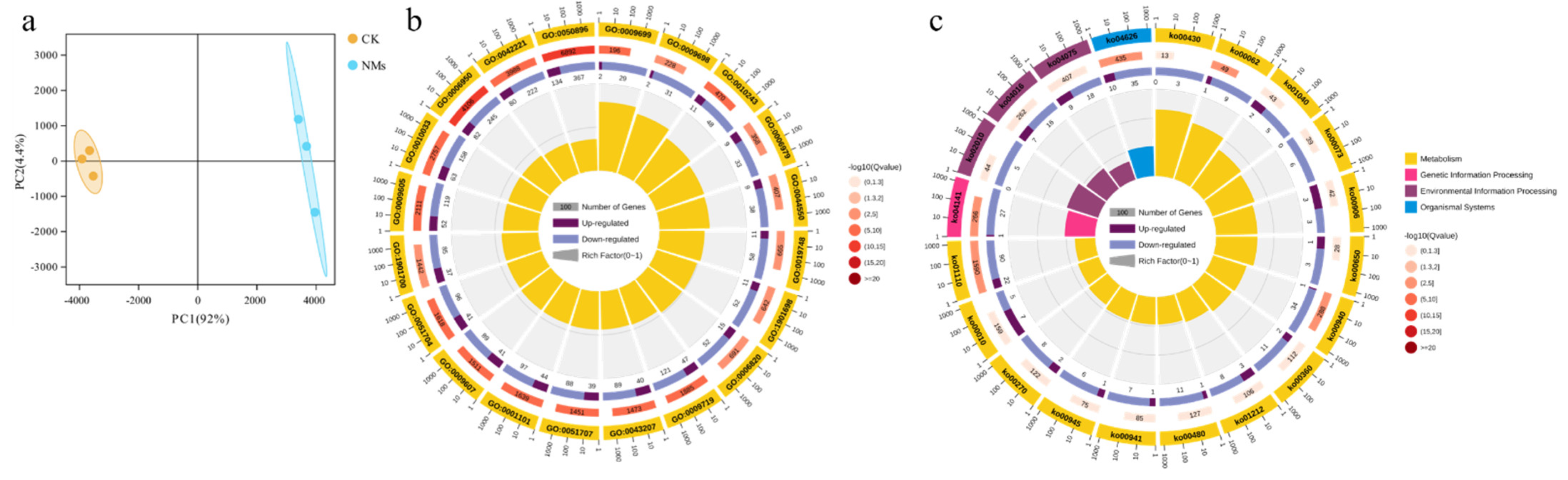 Nanomaterials 12 01341 g006 550