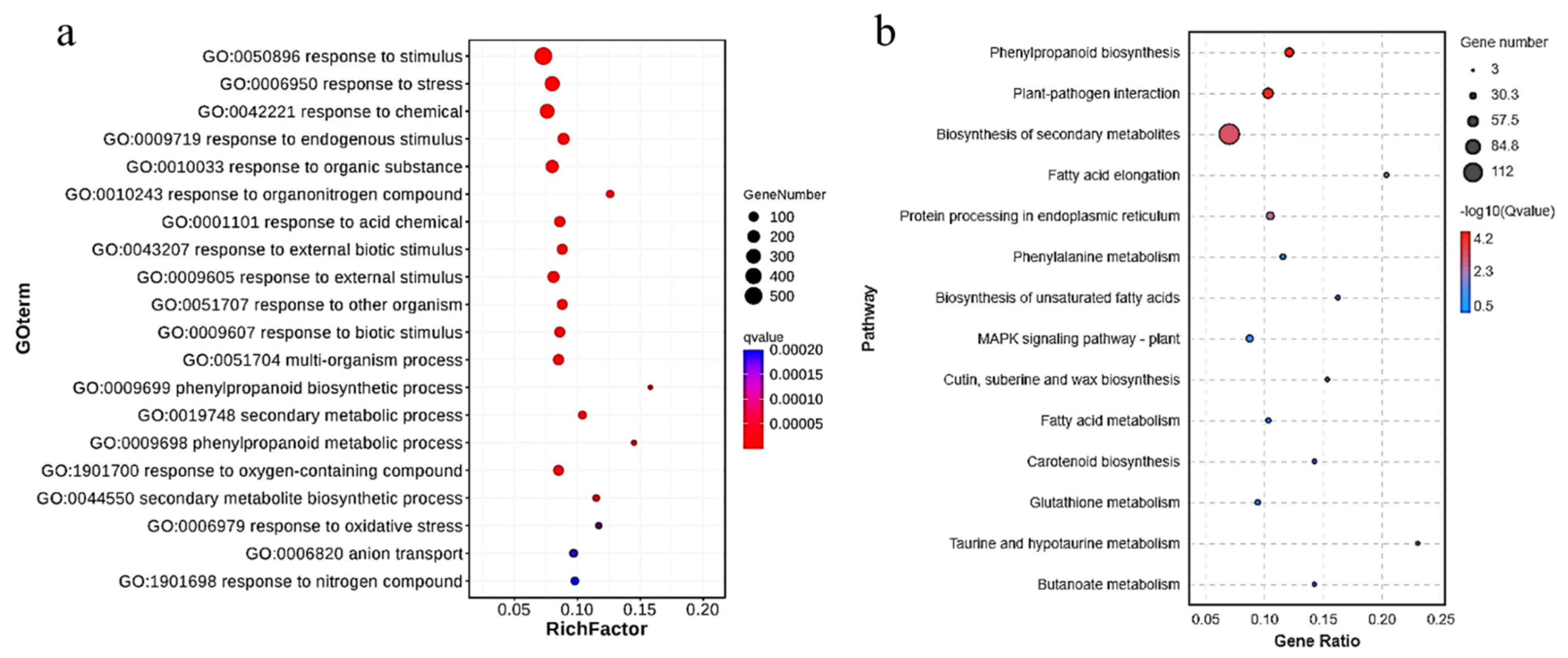 Nanomaterials 12 01341 g007 550