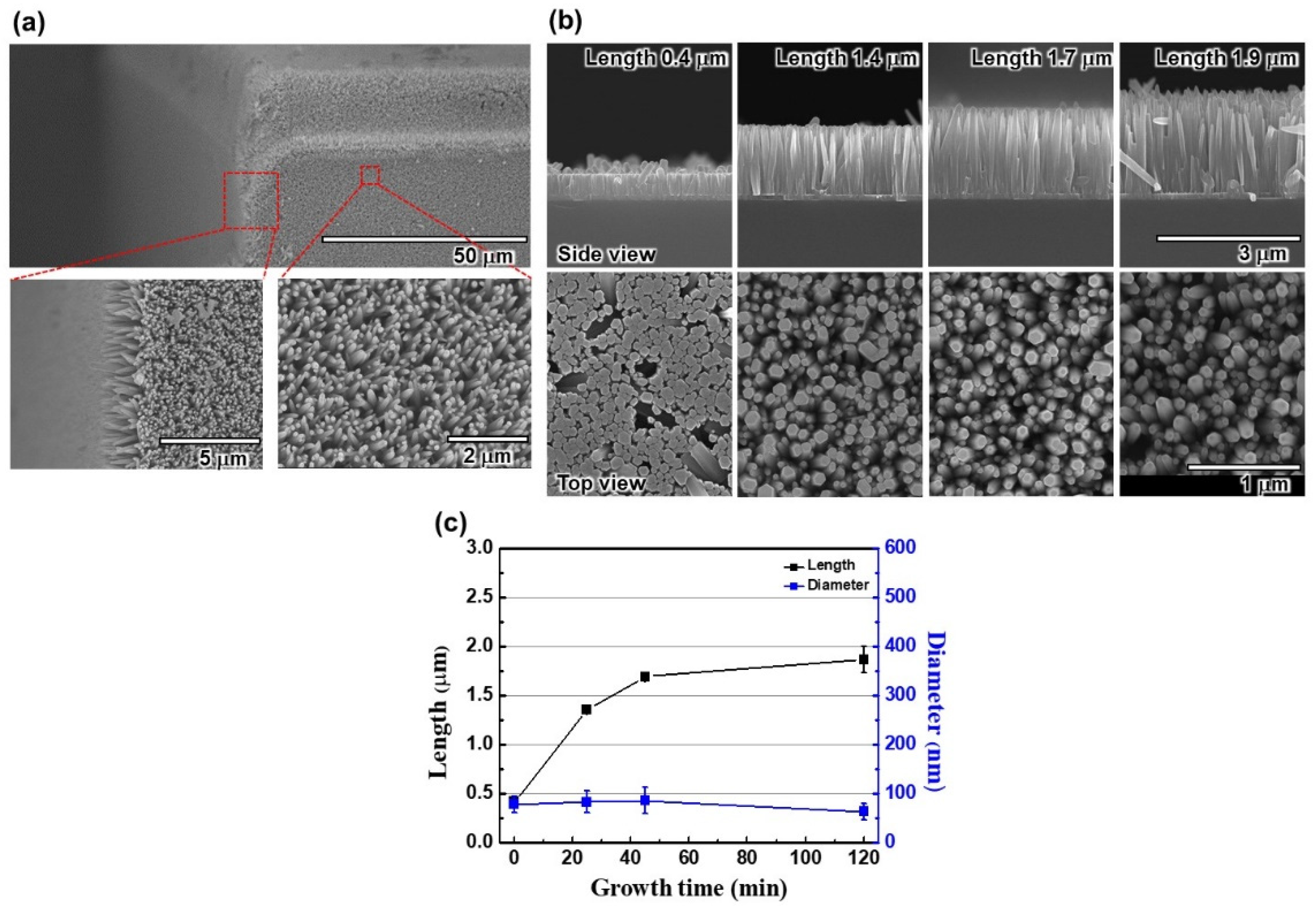 Nanomaterials 12 01342 g003