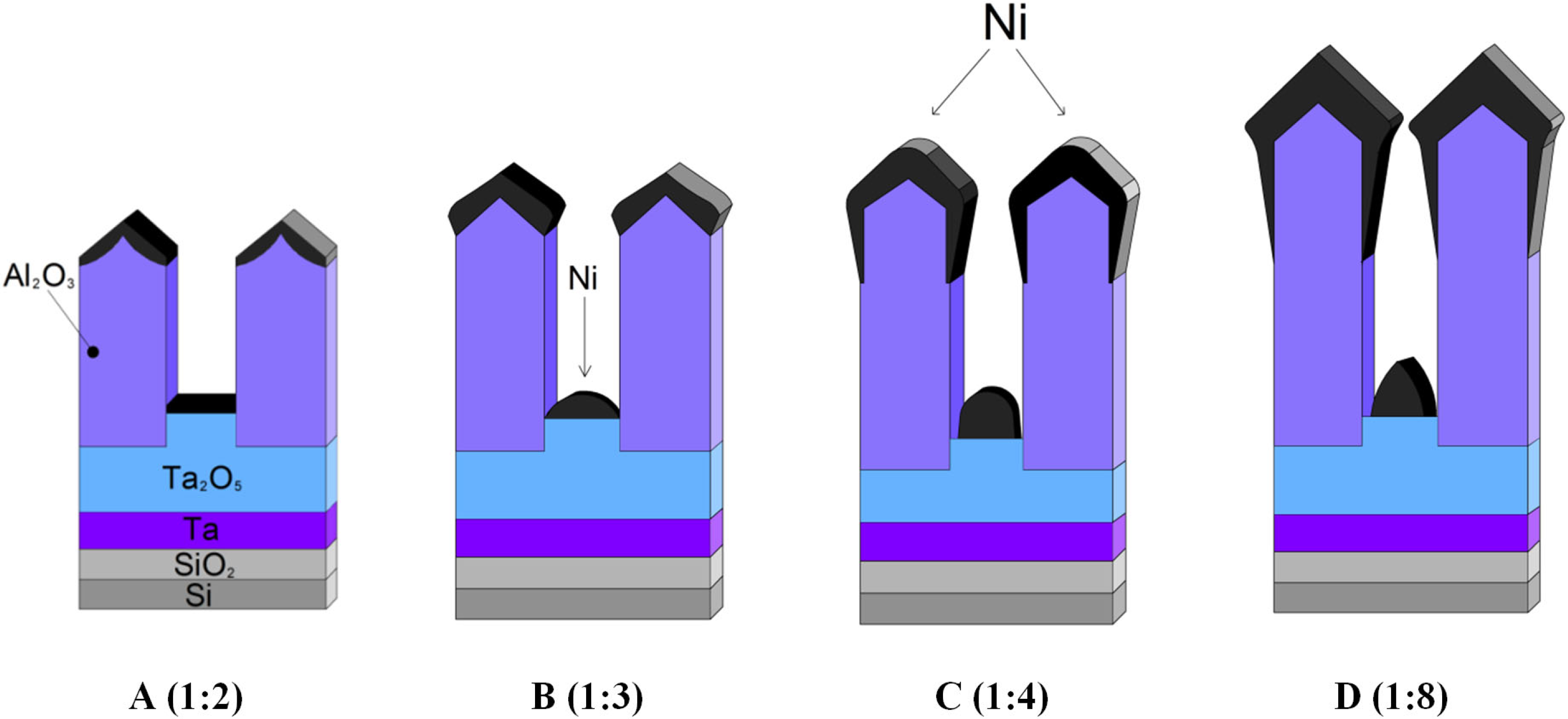 Nanomaterials 12 01344 g001 Nanomaterials 12 01344 g001