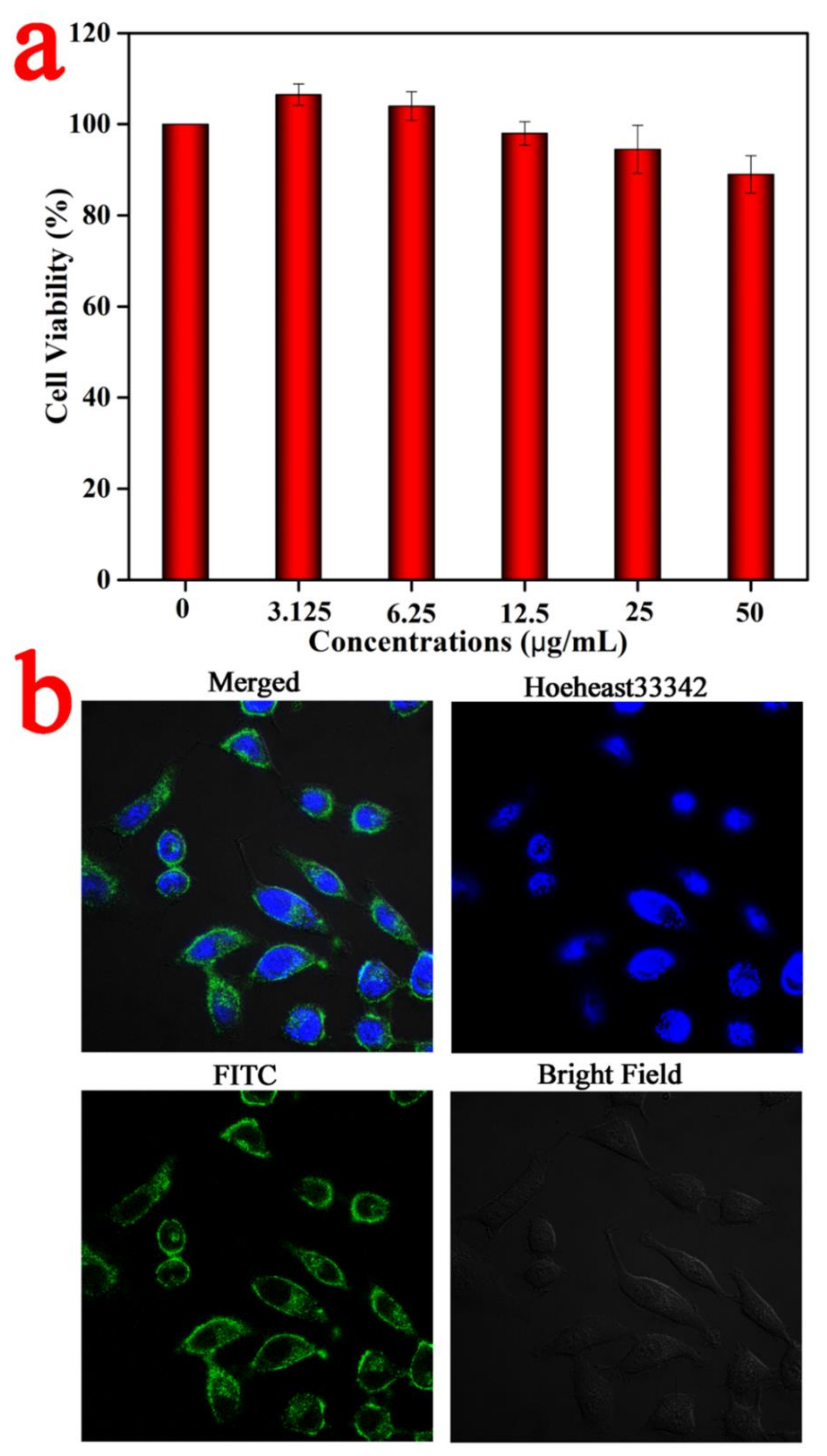 Nanomaterials 12 01348 g005 550