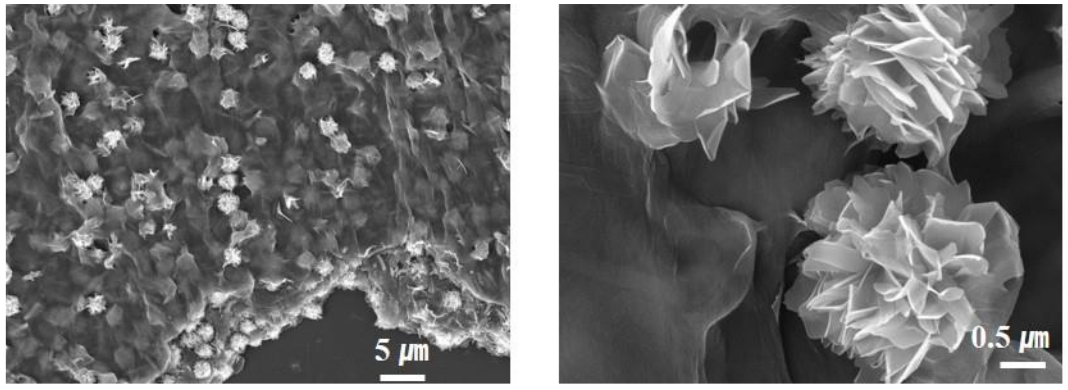 Nanomaterials 12 01351 g005 550