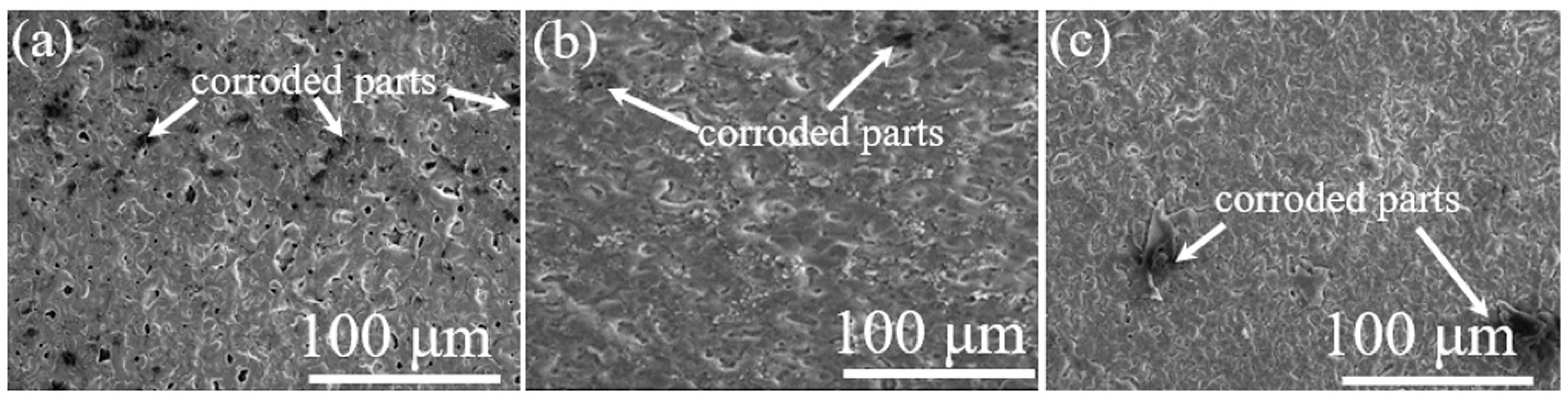Nanomaterials 12 01354 g005