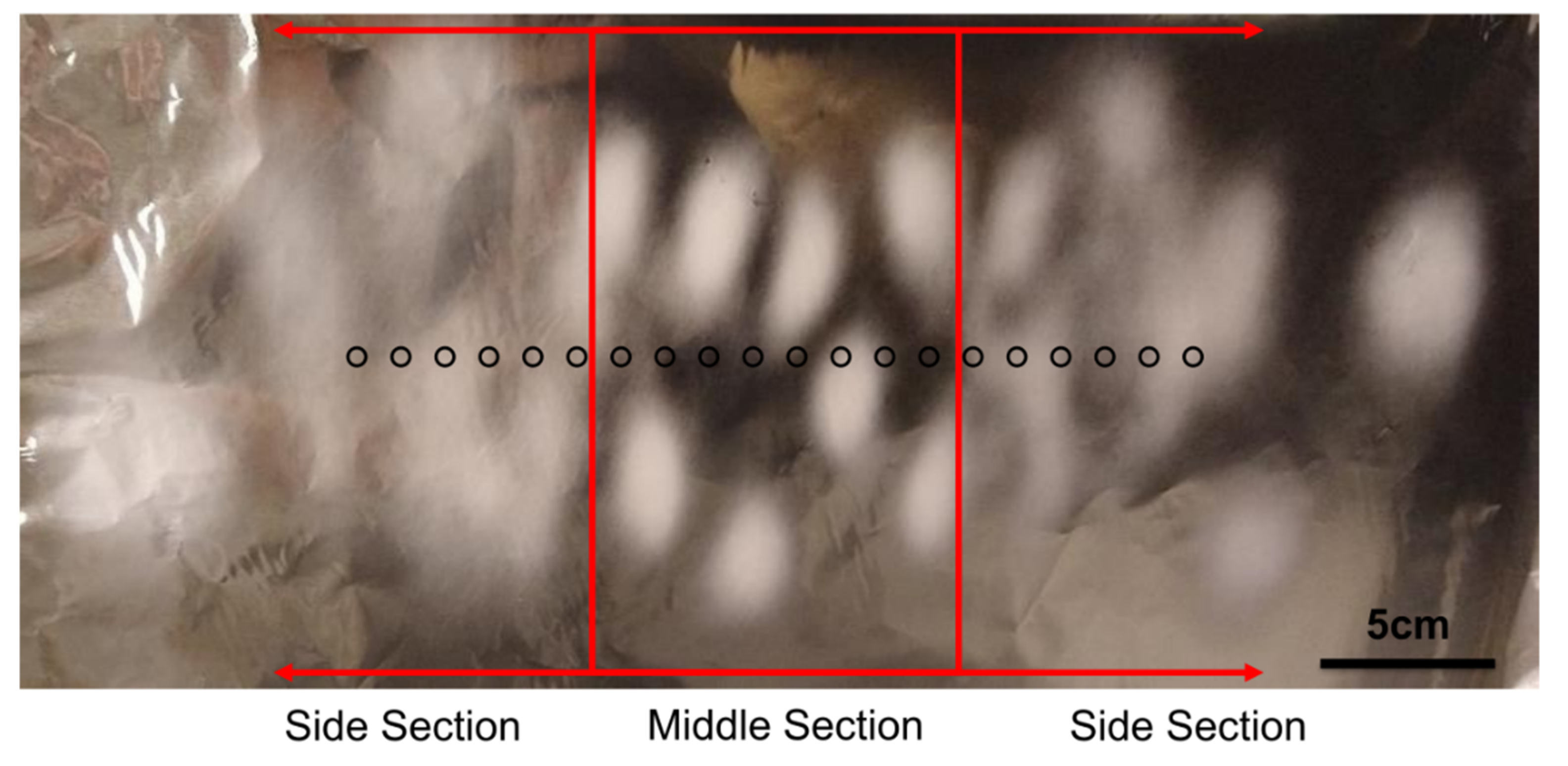 Nanomaterials 12 01356 g002 550