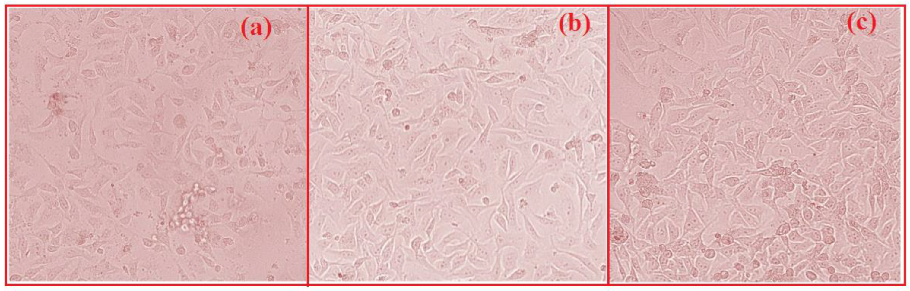 Nanomaterials 12 01357 g010
