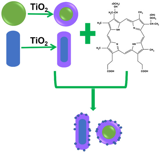 Influence of Parameters on Photodynamic Therapy of Au@TiO2
