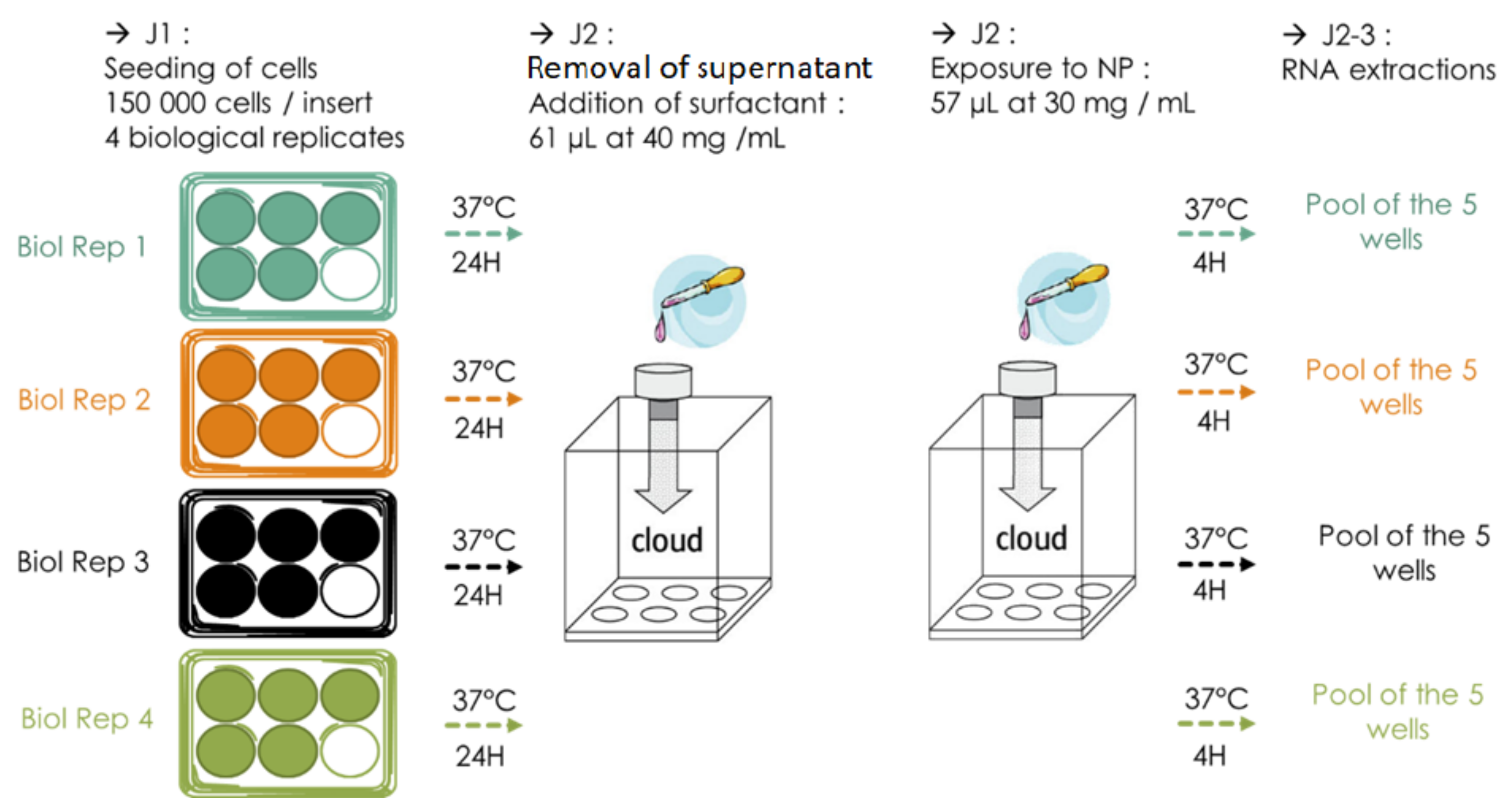 Nanomaterials 12 01362 g004 Nanomaterials 12 01362 g004