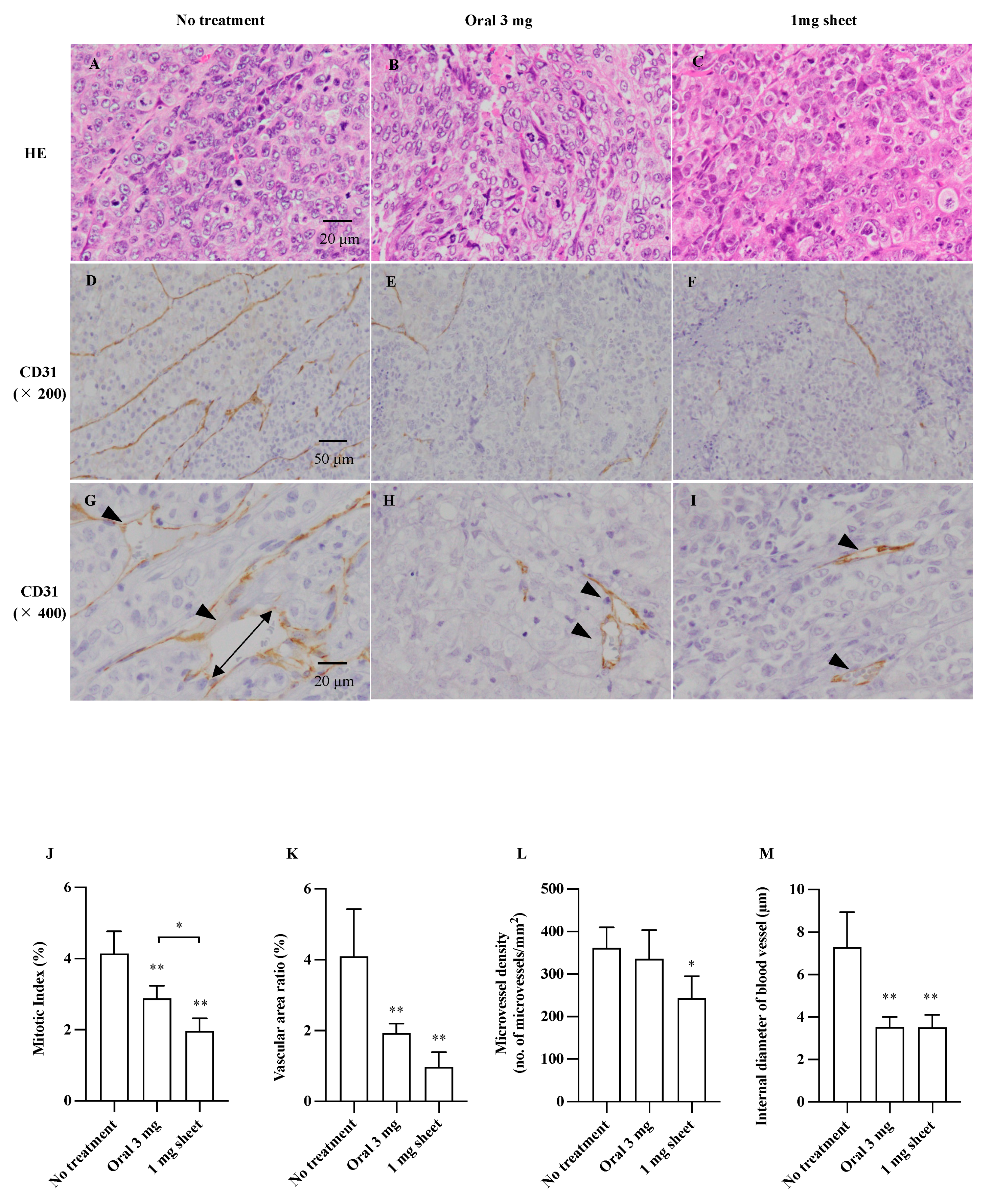 Nanomaterials 12 01364 g004 550