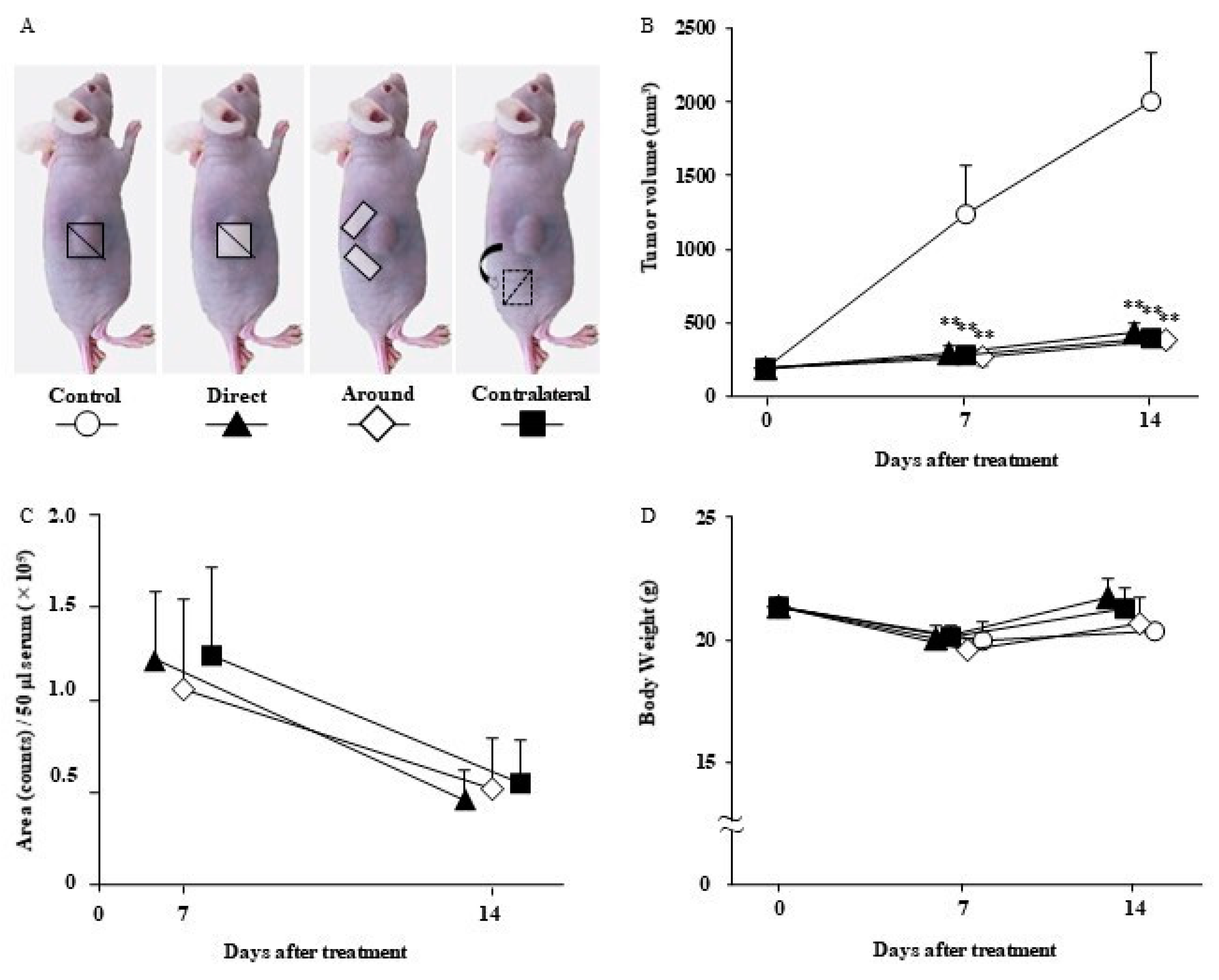 Nanomaterials 12 01364 g006 550