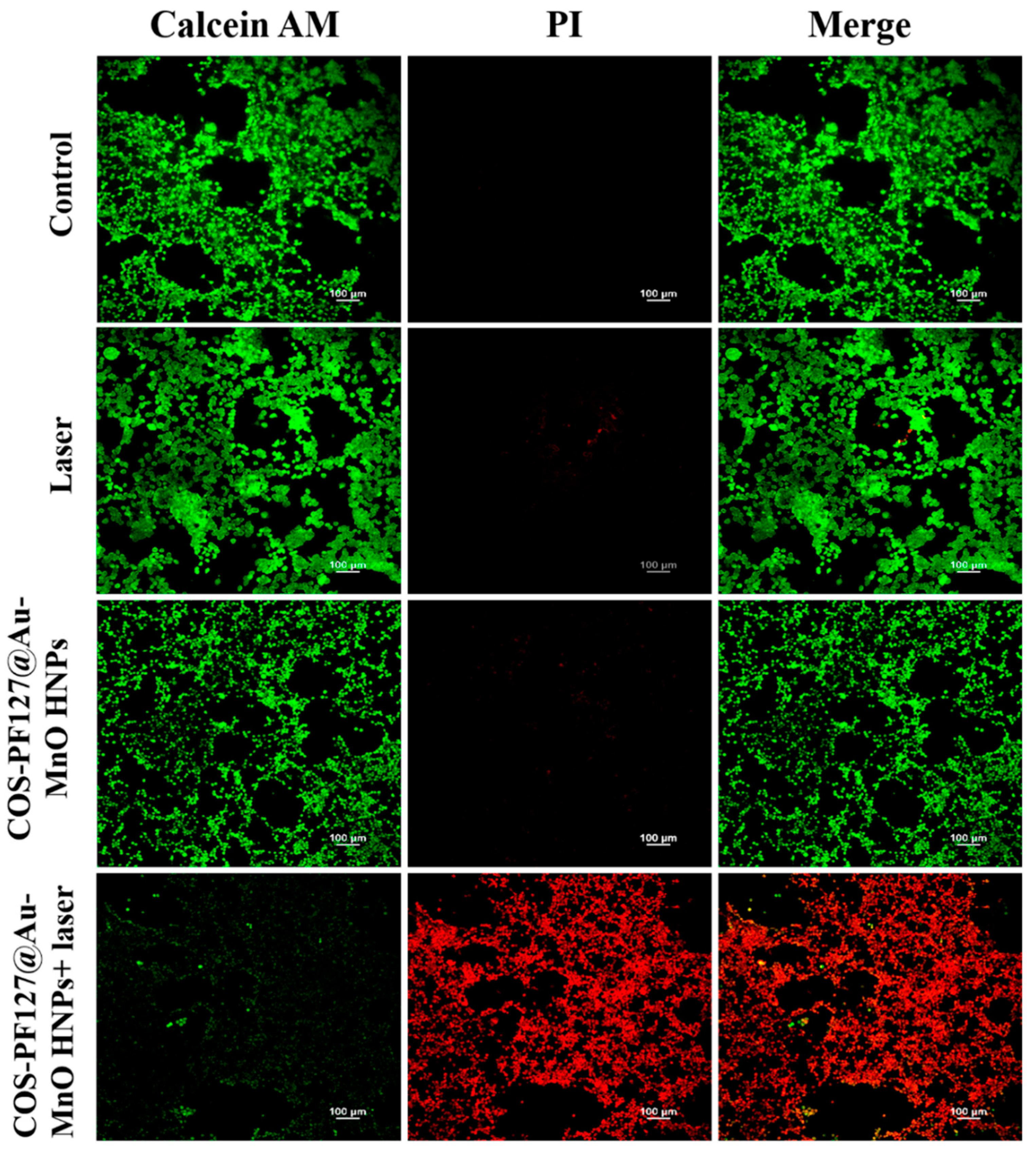 Nanomaterials 12 01370 g005