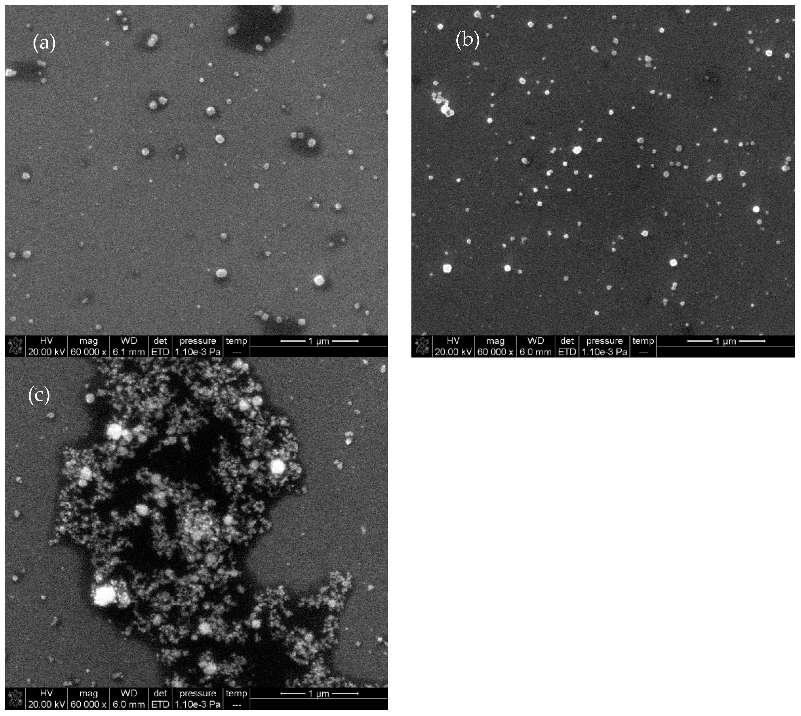 Nanomaterials 12 01374 g005