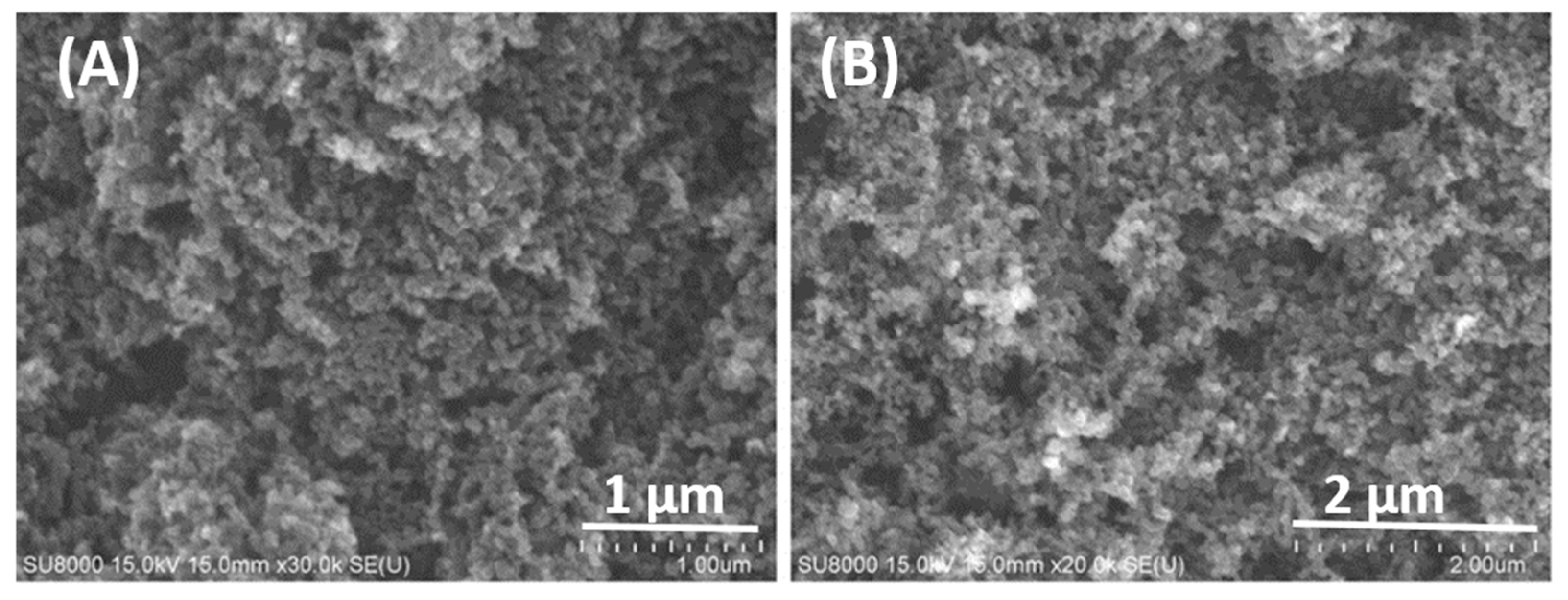 Nanomaterials 12 01387 g001 550