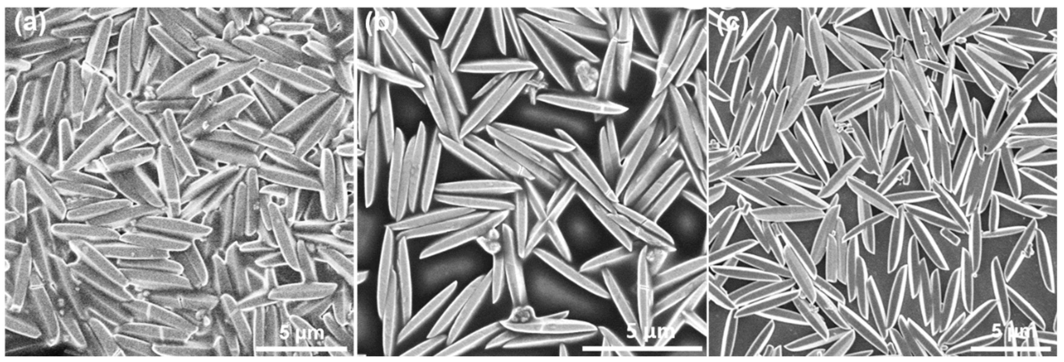 Nanomaterials 12 01394 g001