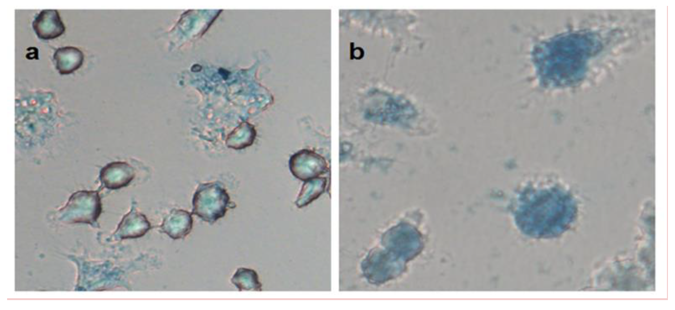 Nanomaterials 12 01396 g007 550