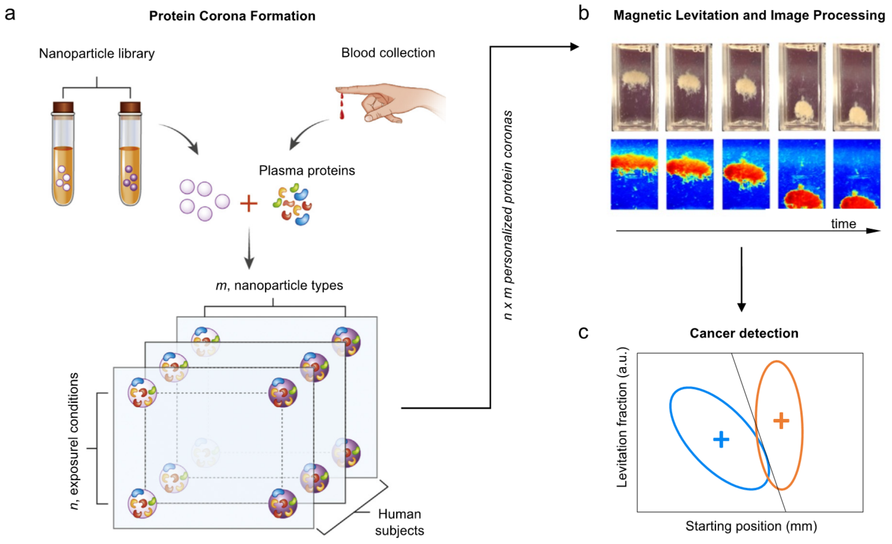 Nanomaterials 12 01397 g005