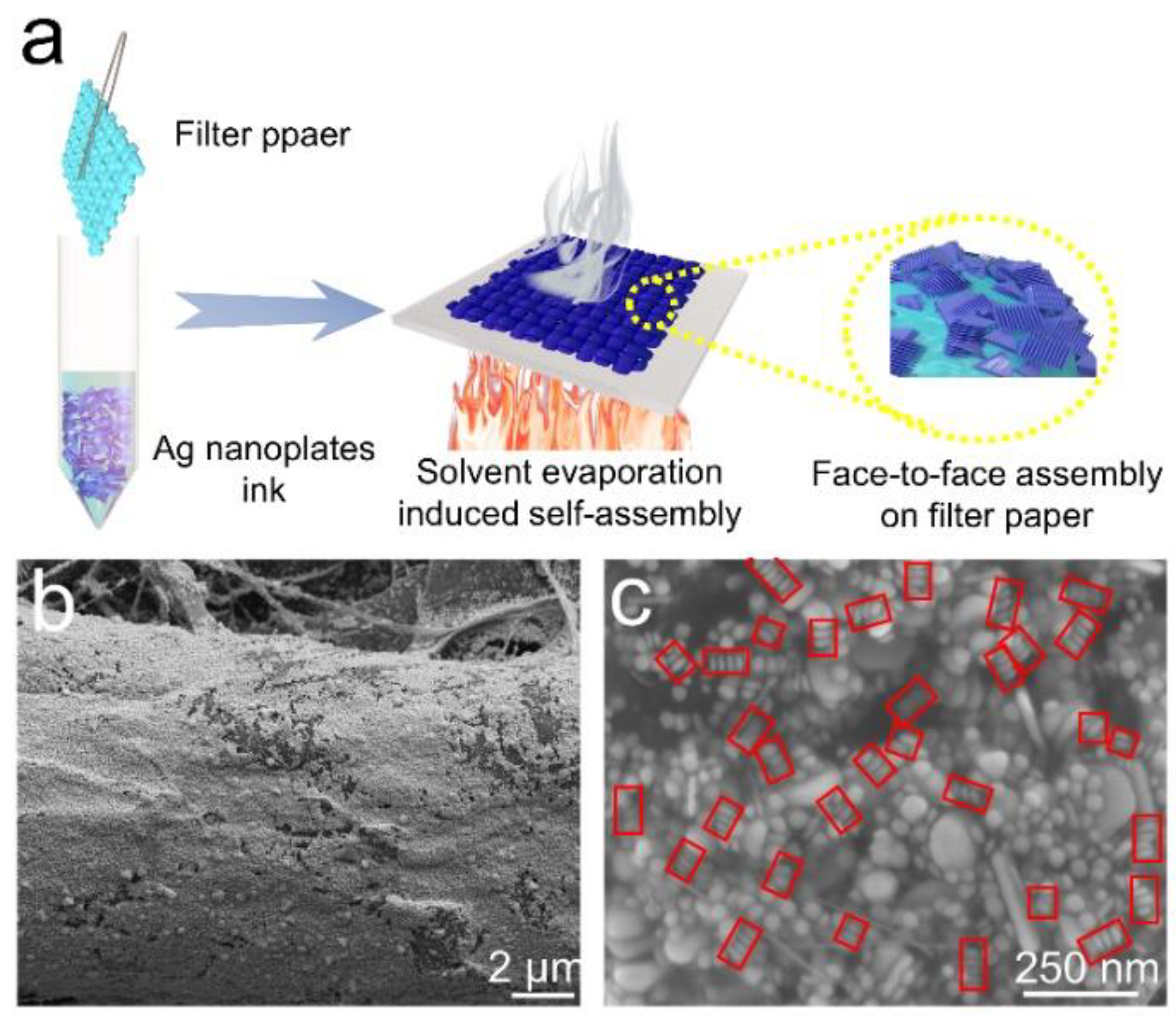 Nanomaterials 12 01398 g002