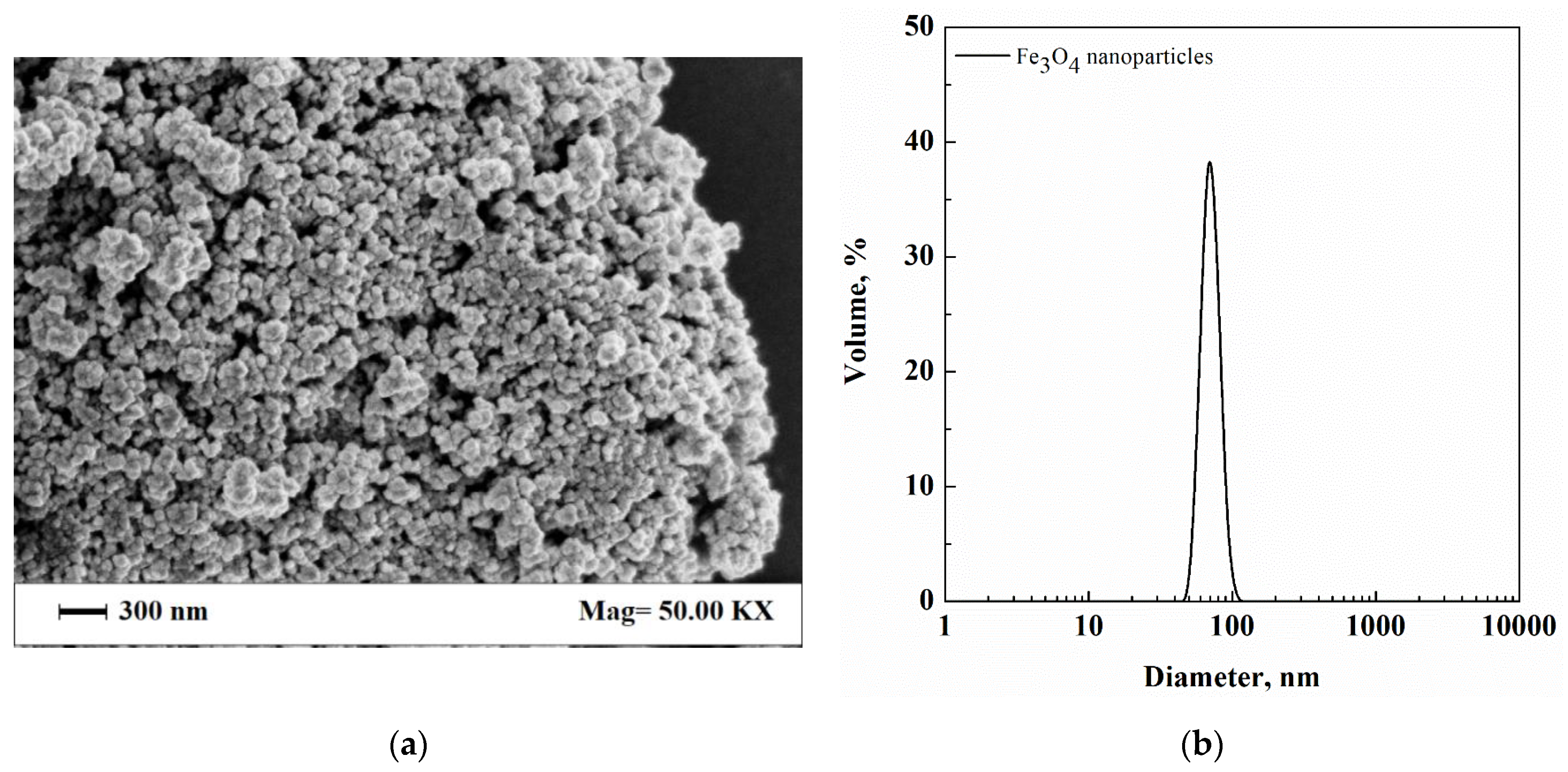 Nanomaterials 12 01401 g001