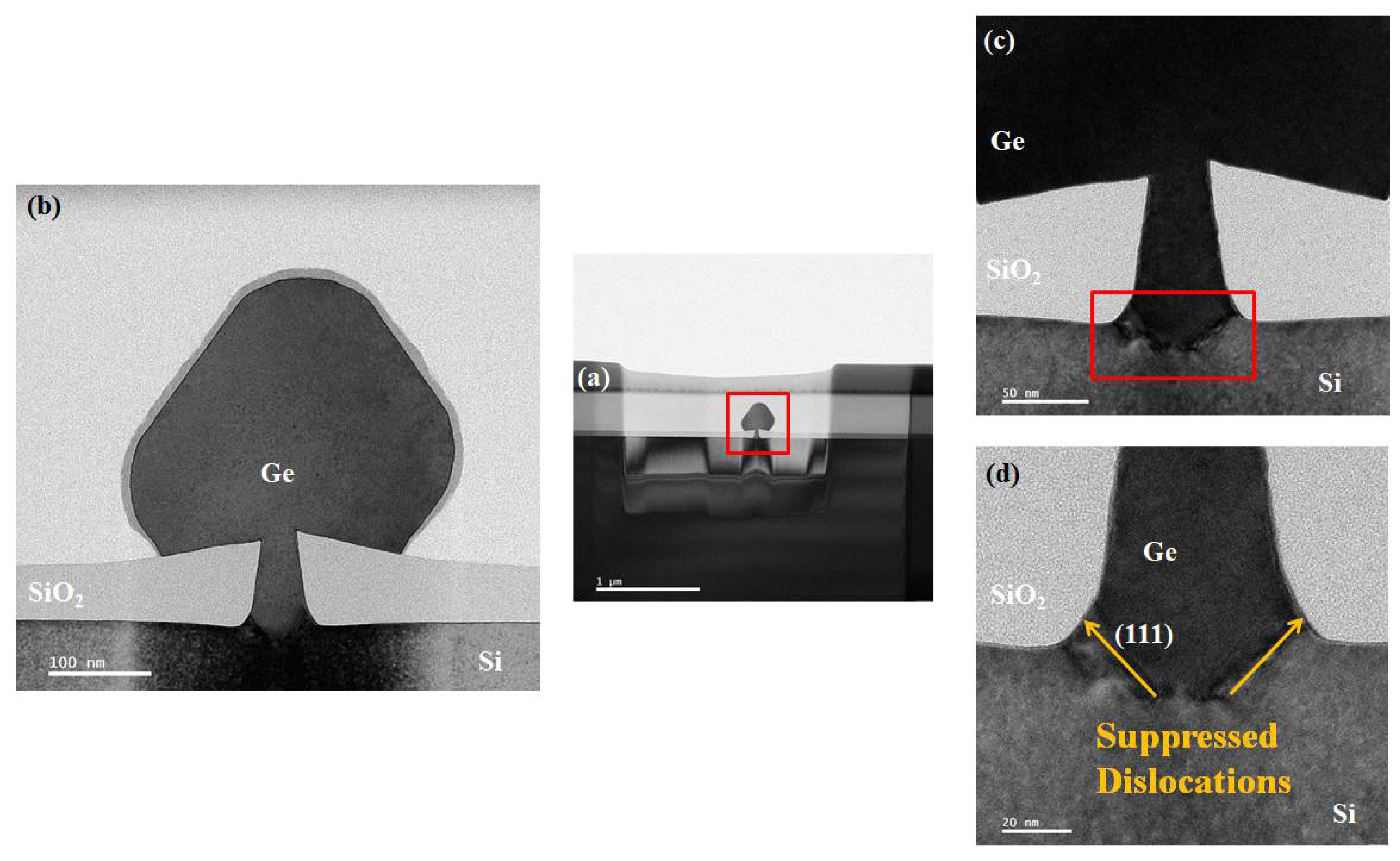 Nanomaterials 12 01403 g009 550
