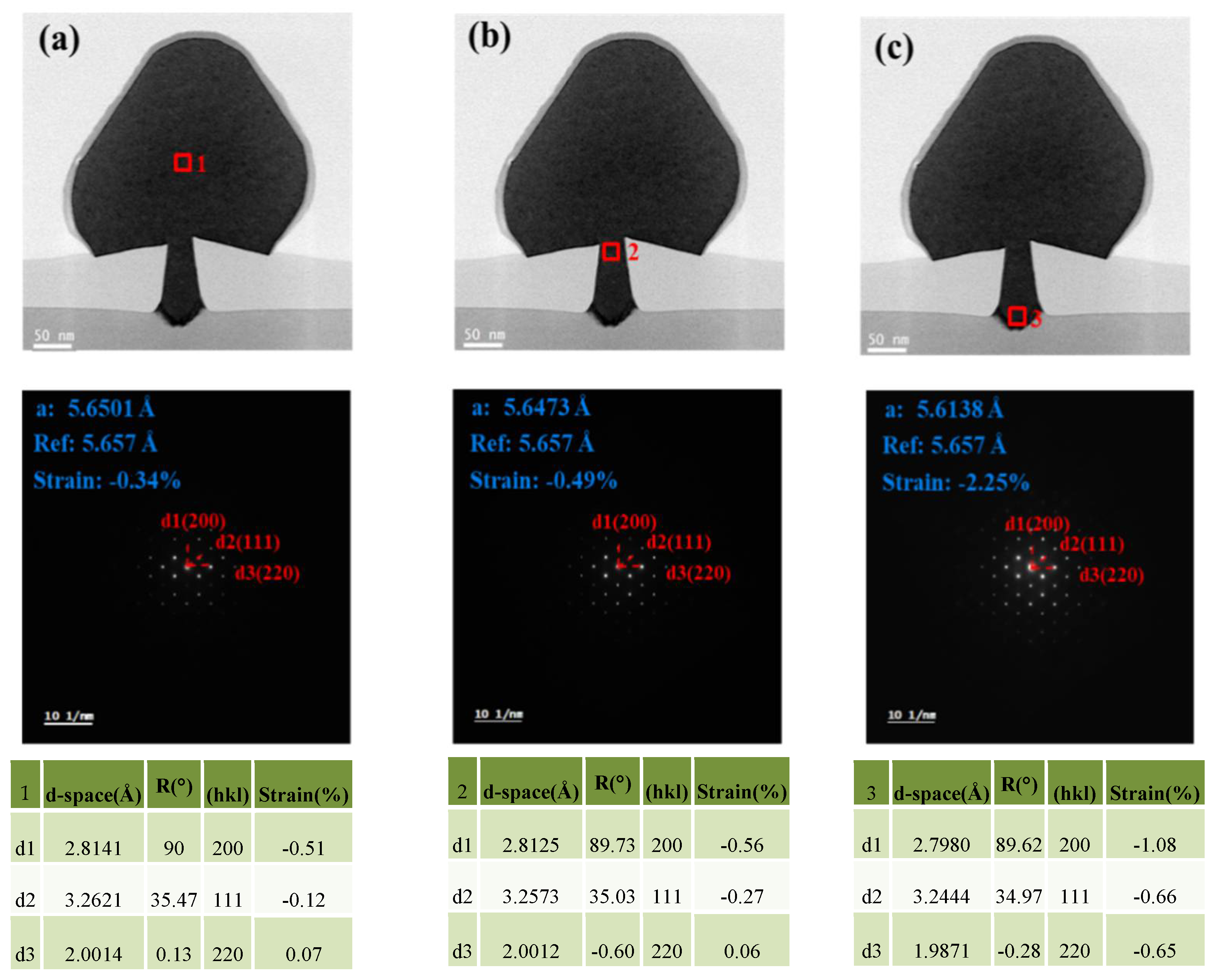 Nanomaterials 12 01403 g010 550