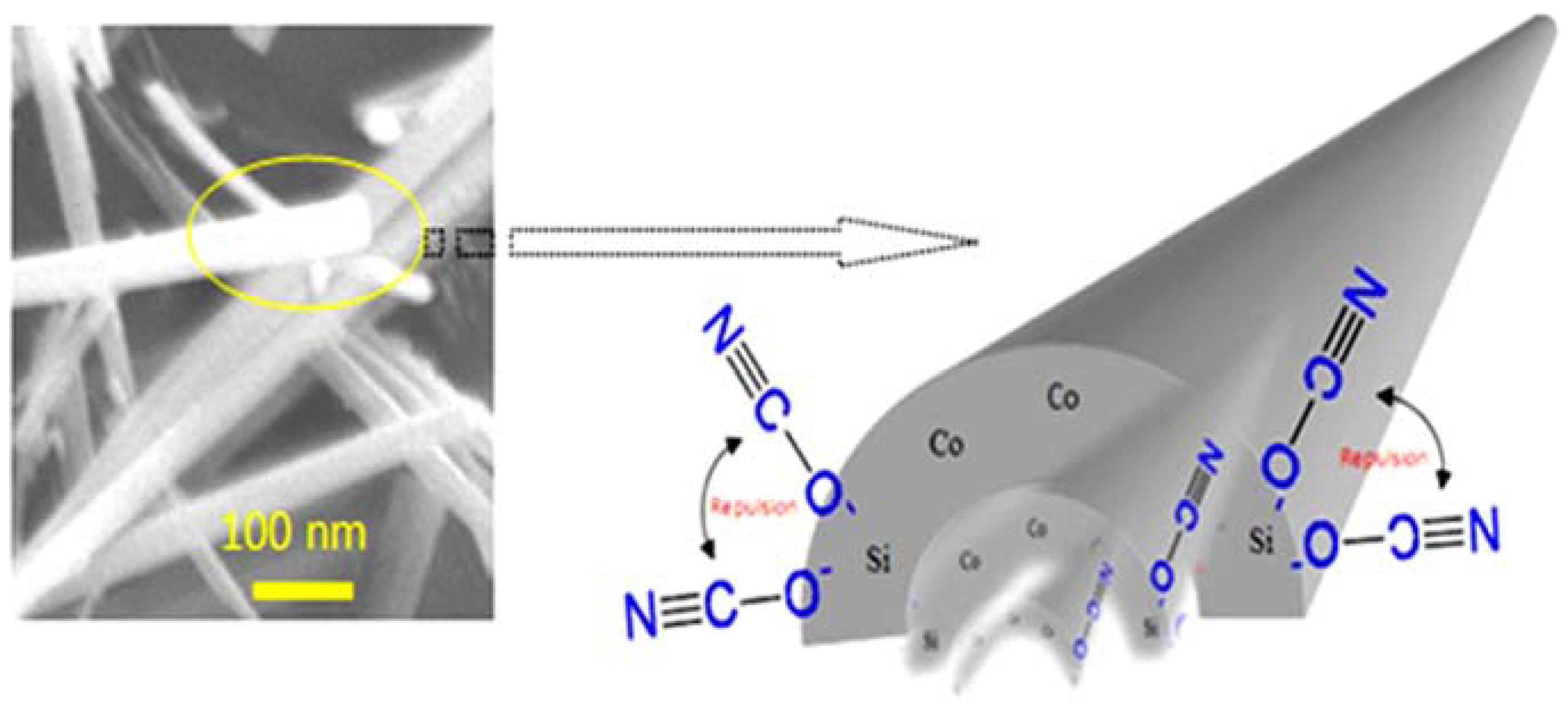 Nanomaterials 12 01404 g006